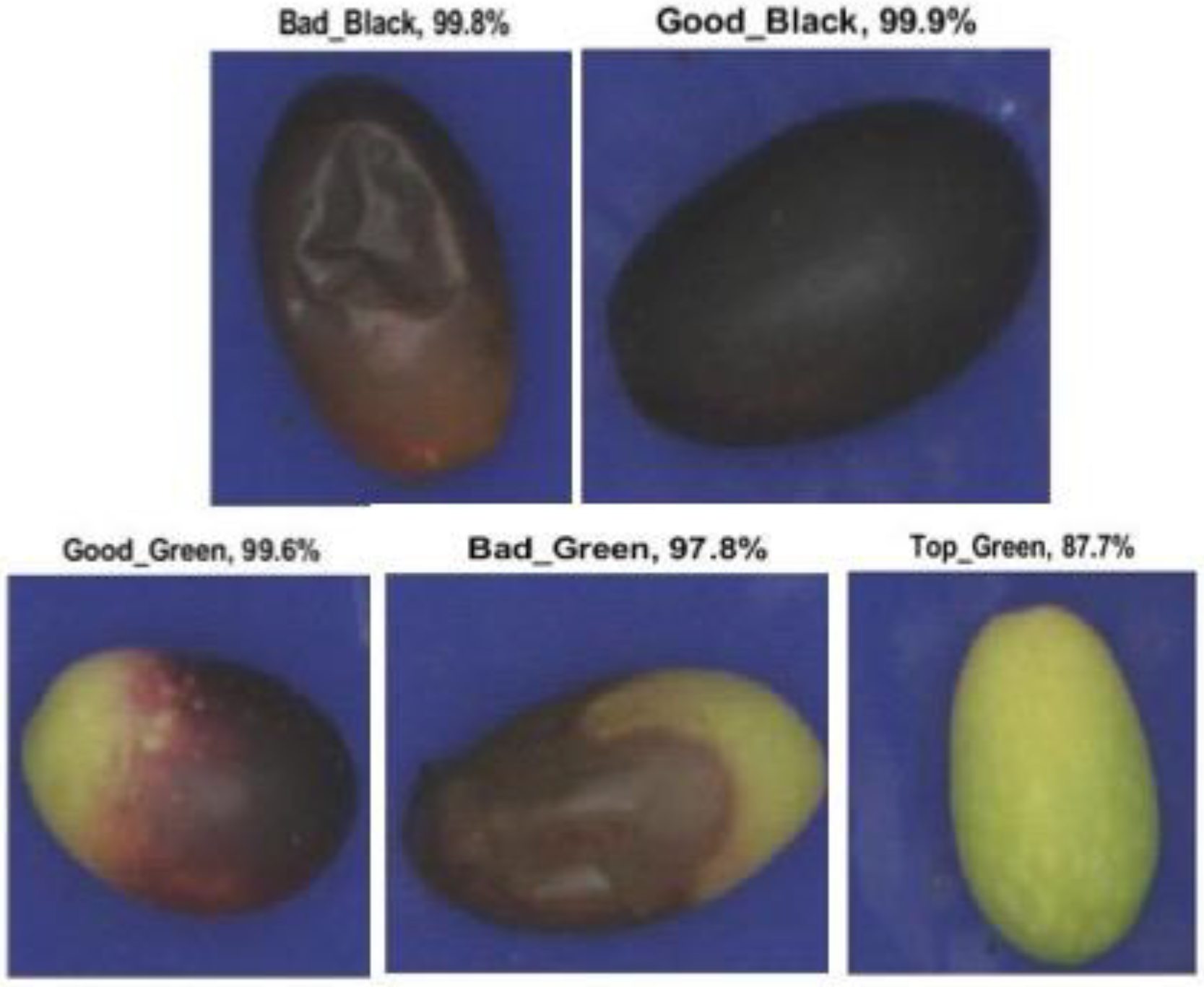 Foods 11 03391 g007 Foods 11 03391 g007