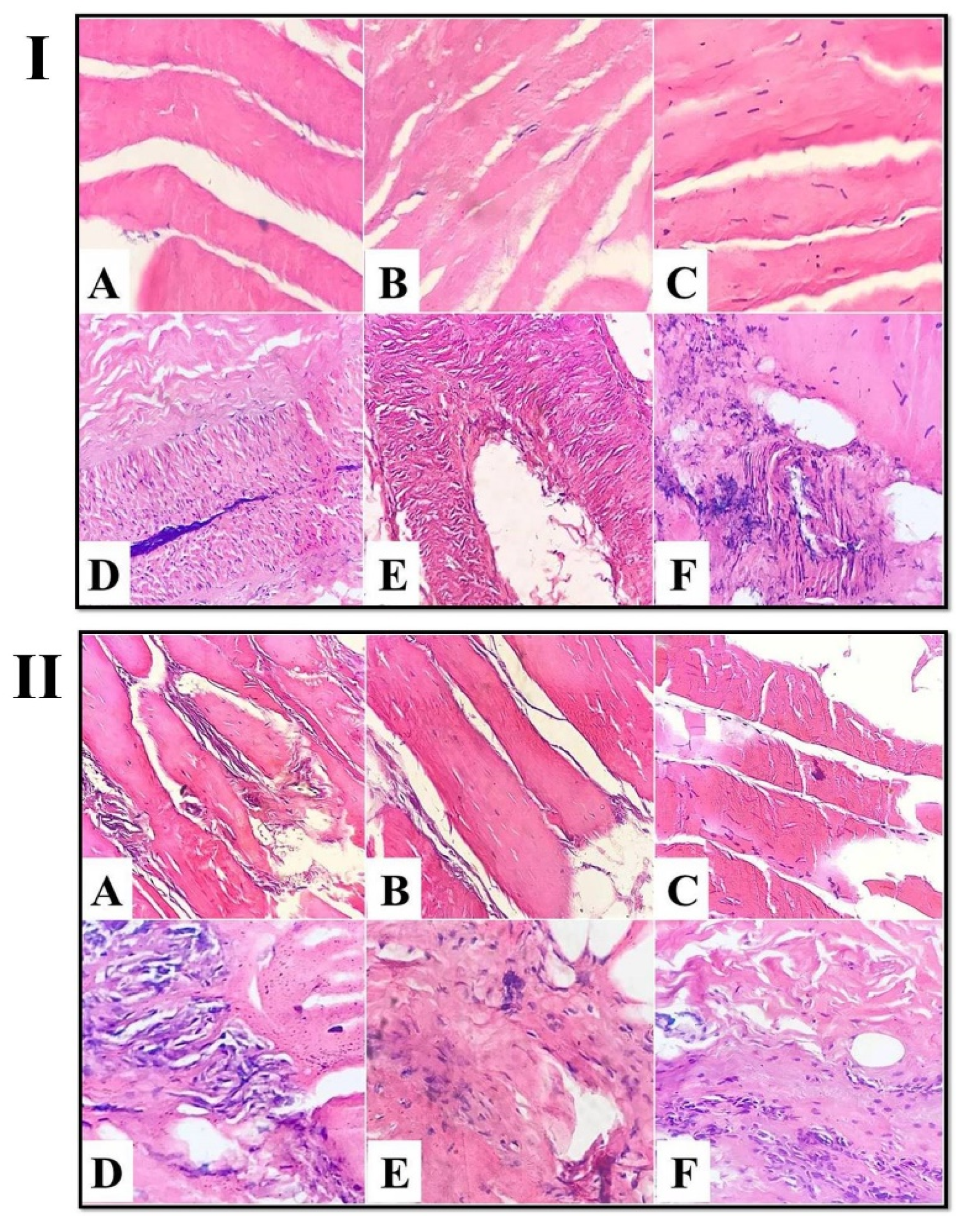 Foods 11 03430 g004 Foods 11 03430 g004