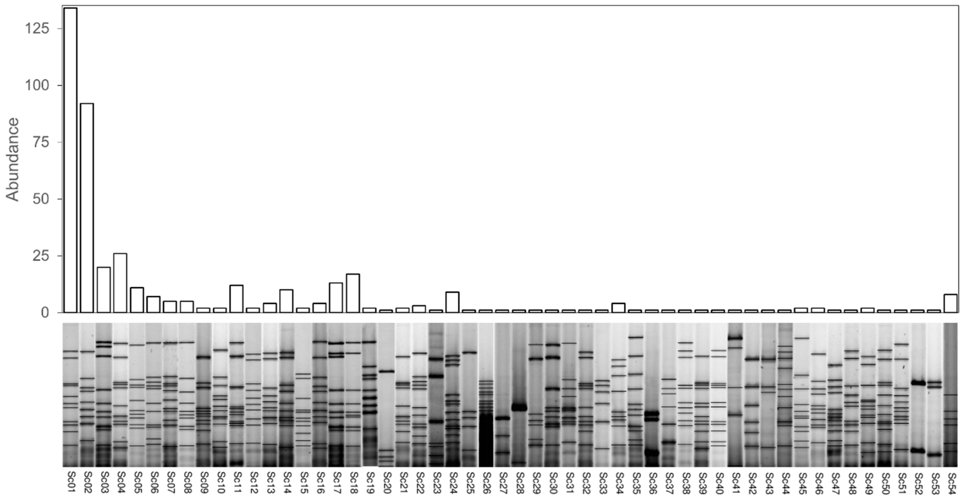 Foods 11 03448 g002 Foods 11 03448 g002