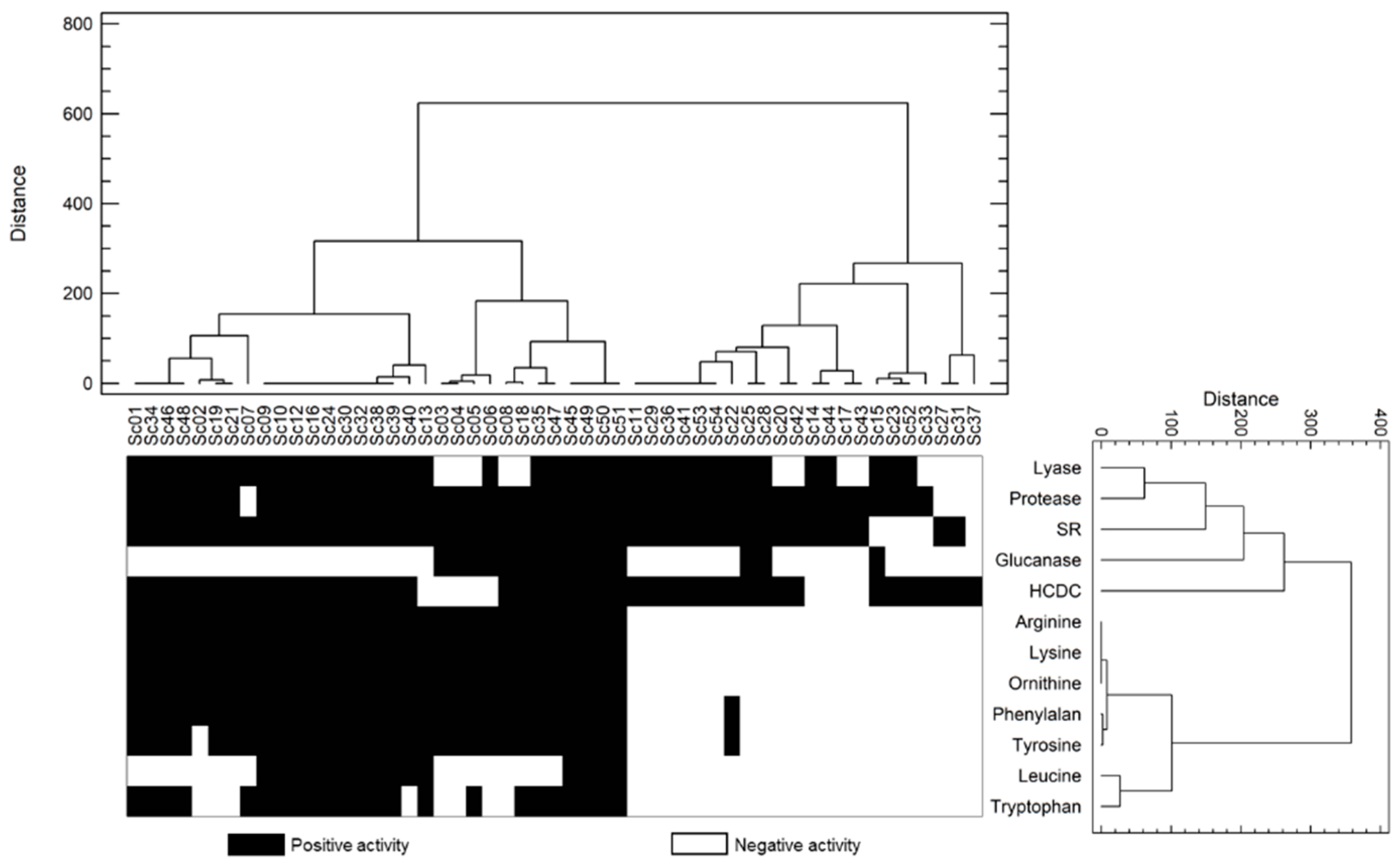 Foods 11 03448 g005 Foods 11 03448 g005