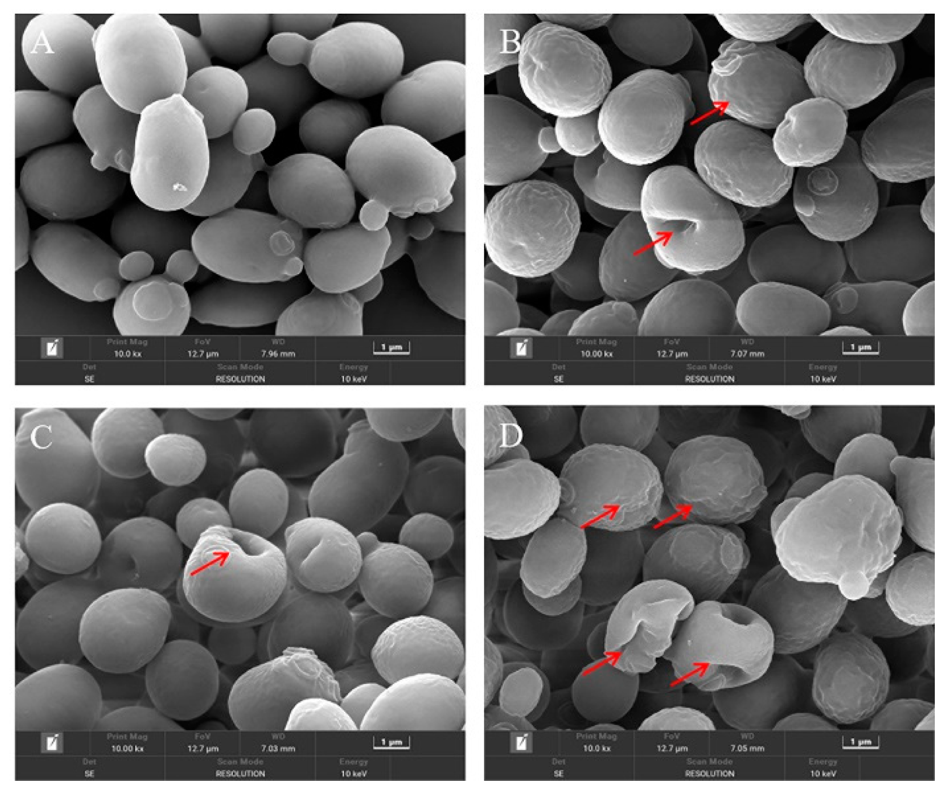 Foods 11 03474 g003 Foods 11 03474 g003