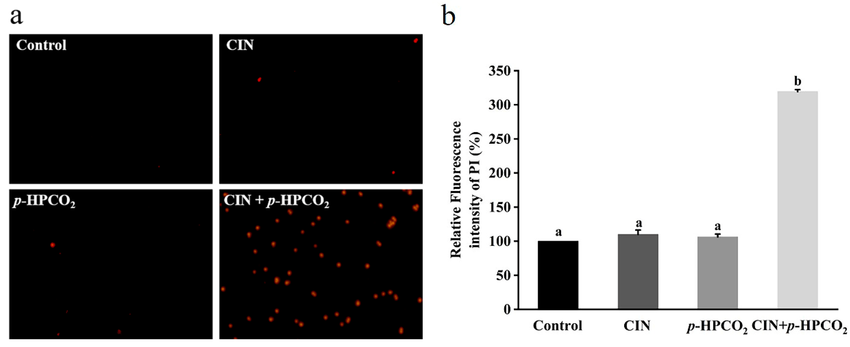 Foods 11 03474 g005 Foods 11 03474 g005