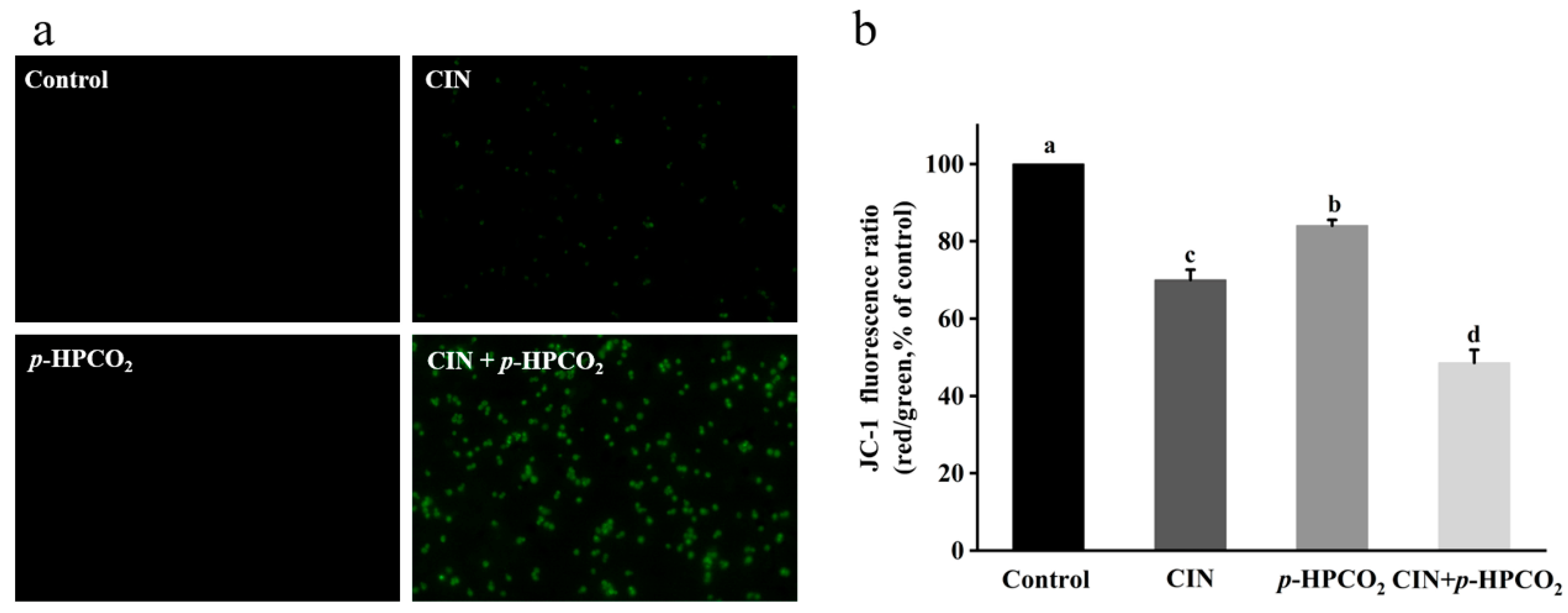 Foods 11 03474 g008 Foods 11 03474 g008