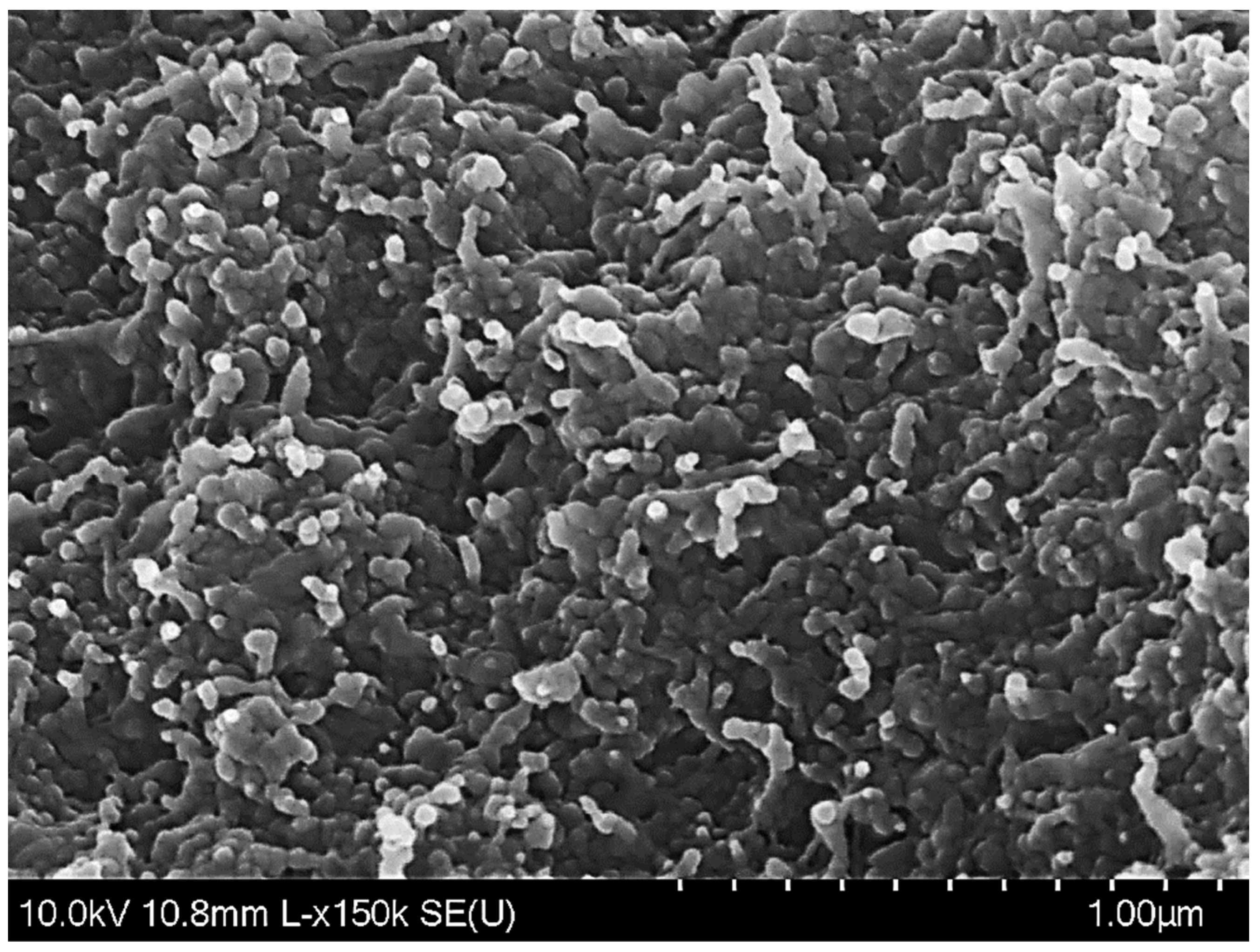 Foods 11 03478 g002 Foods 11 03478 g002