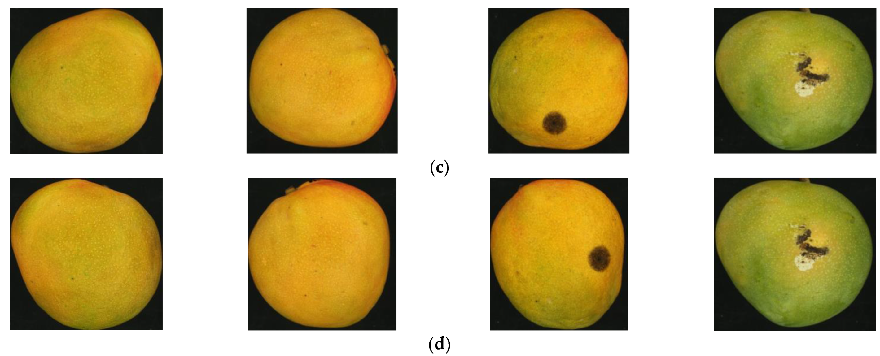 Foods 11 03483 g002b
