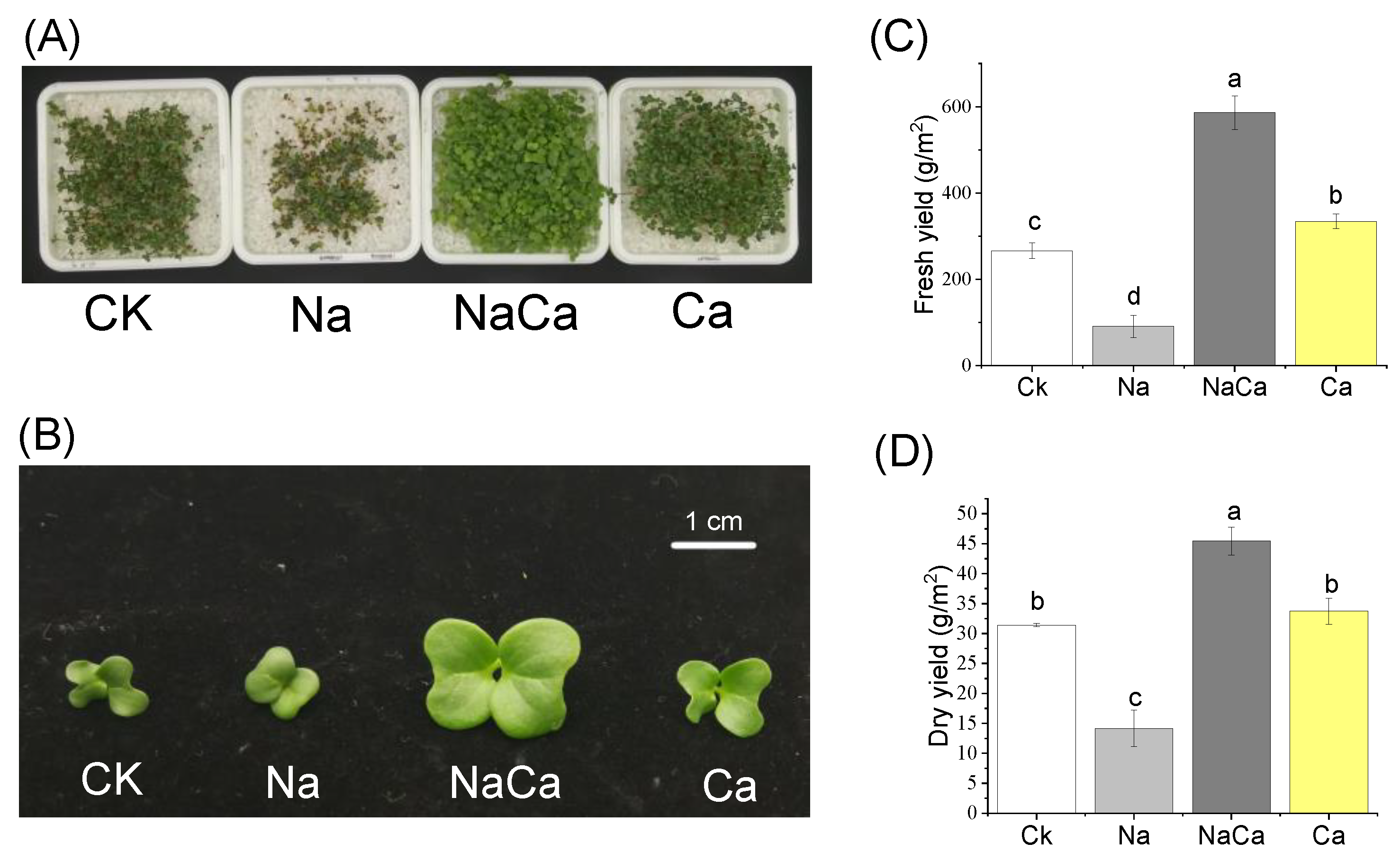 Foods 11 03485 g001 Foods 11 03485 g001