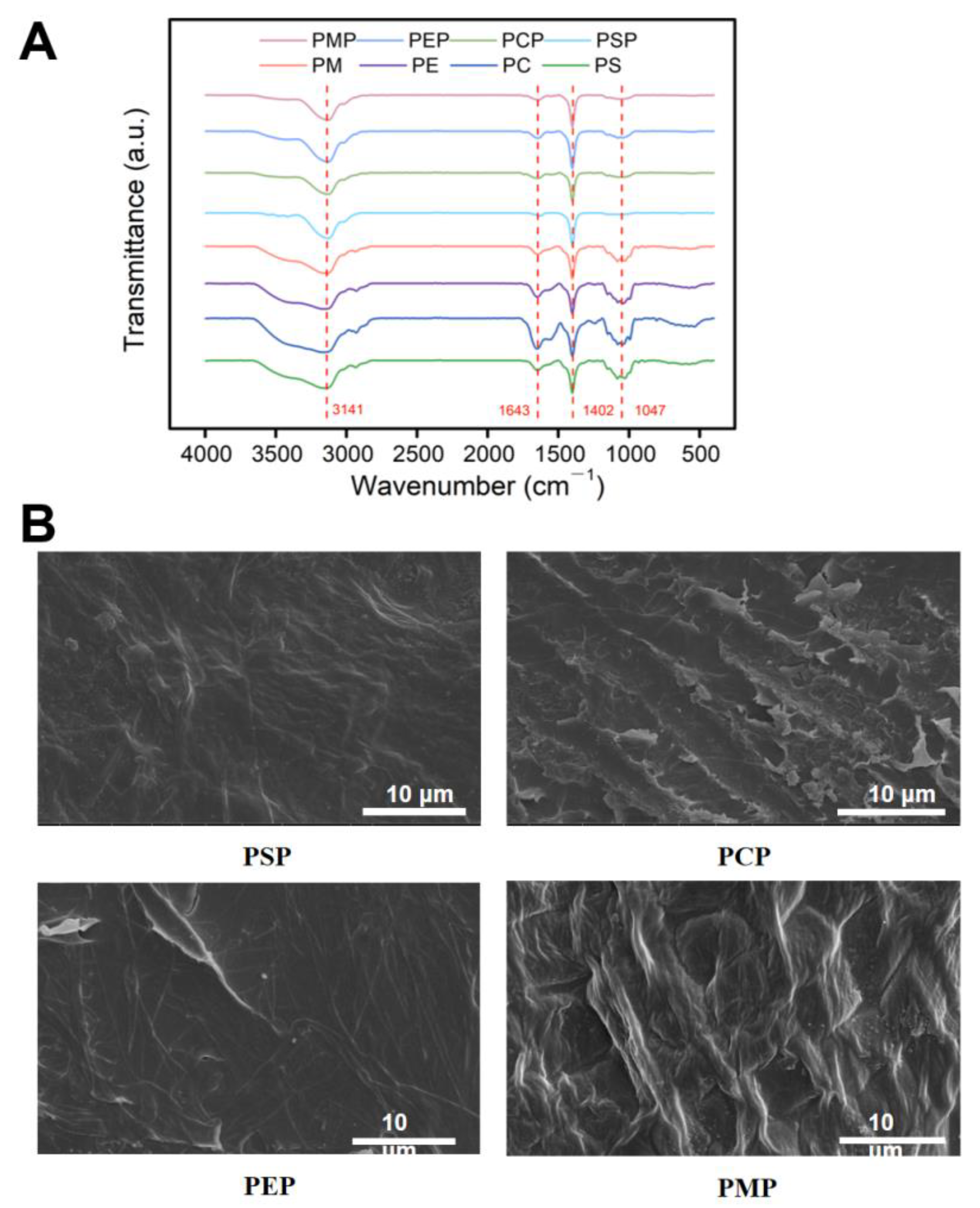 Foods 11 03514 g004 Foods 11 03514 g004