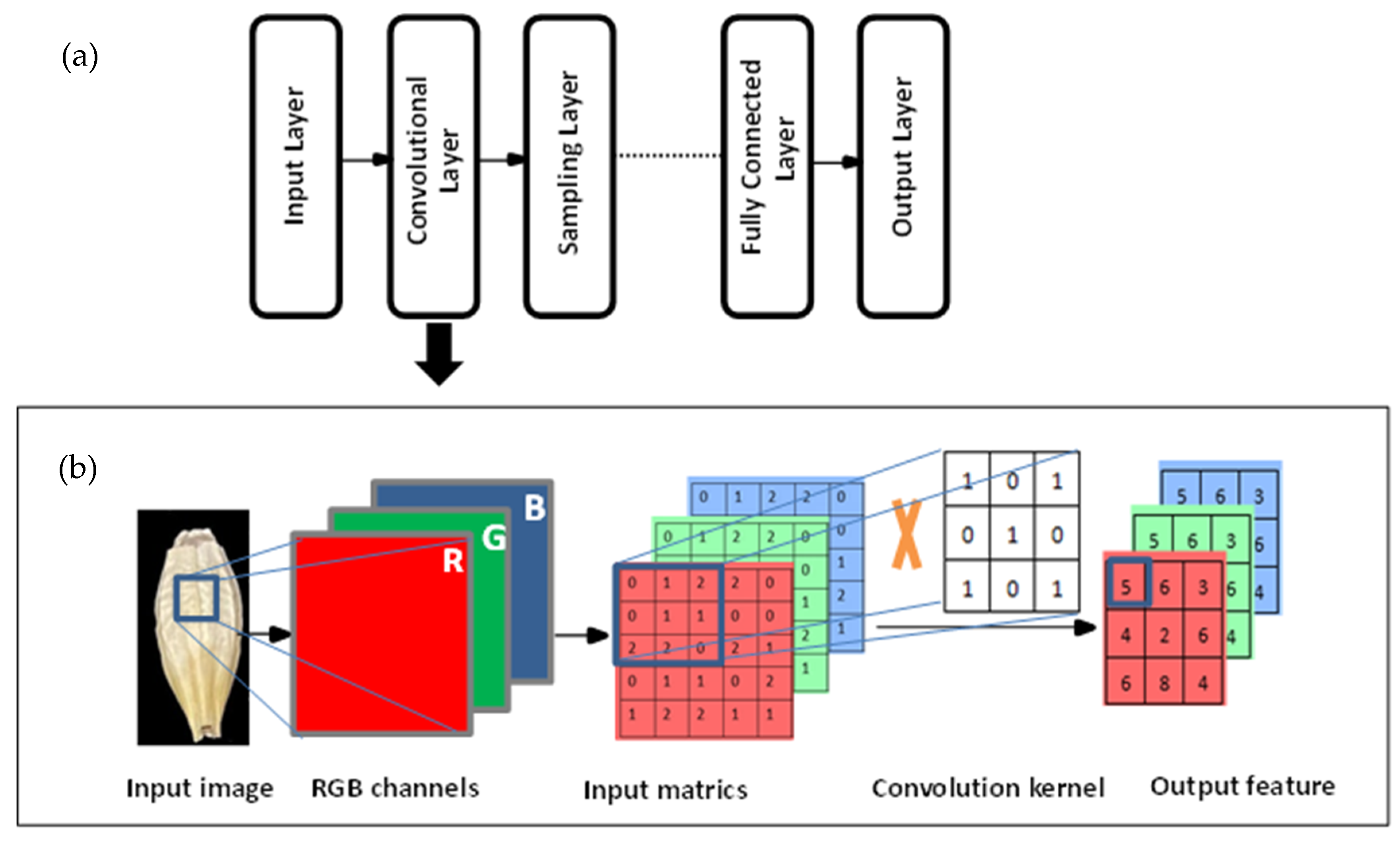 Foods 11 03531 g002 Foods 11 03531 g002