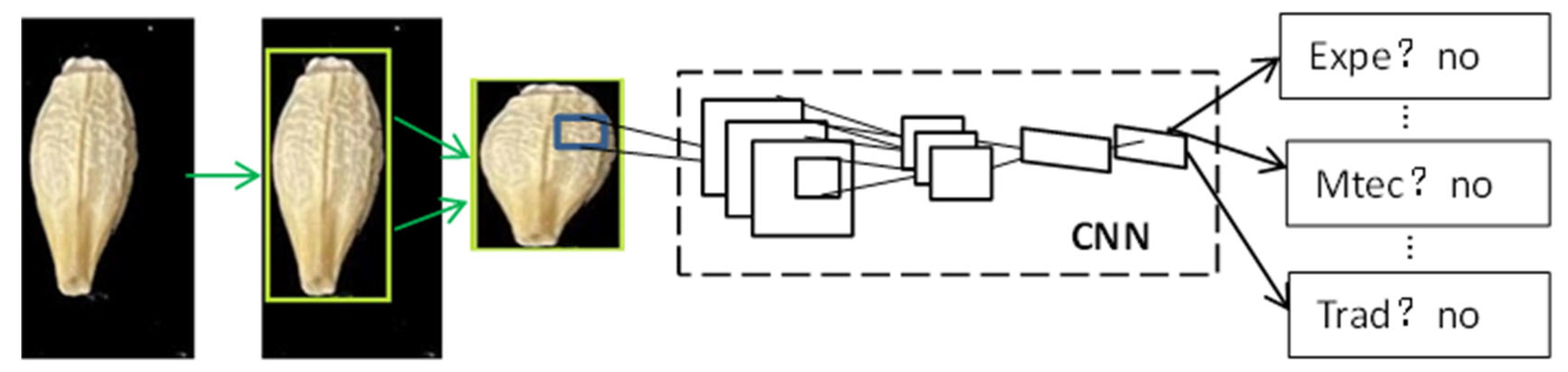 Foods 11 03531 g003 Foods 11 03531 g003