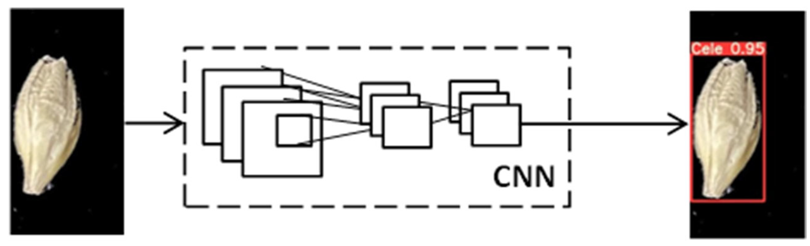 Foods 11 03531 g004 Foods 11 03531 g004