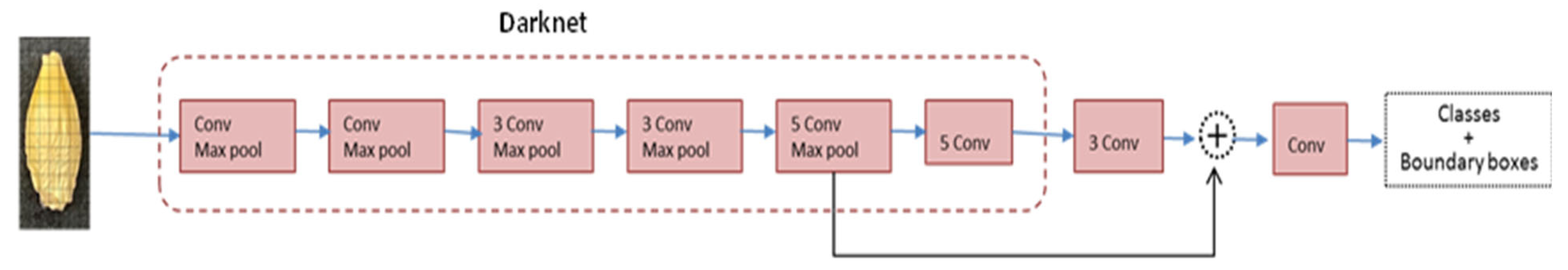 Foods 11 03531 g005 Foods 11 03531 g005