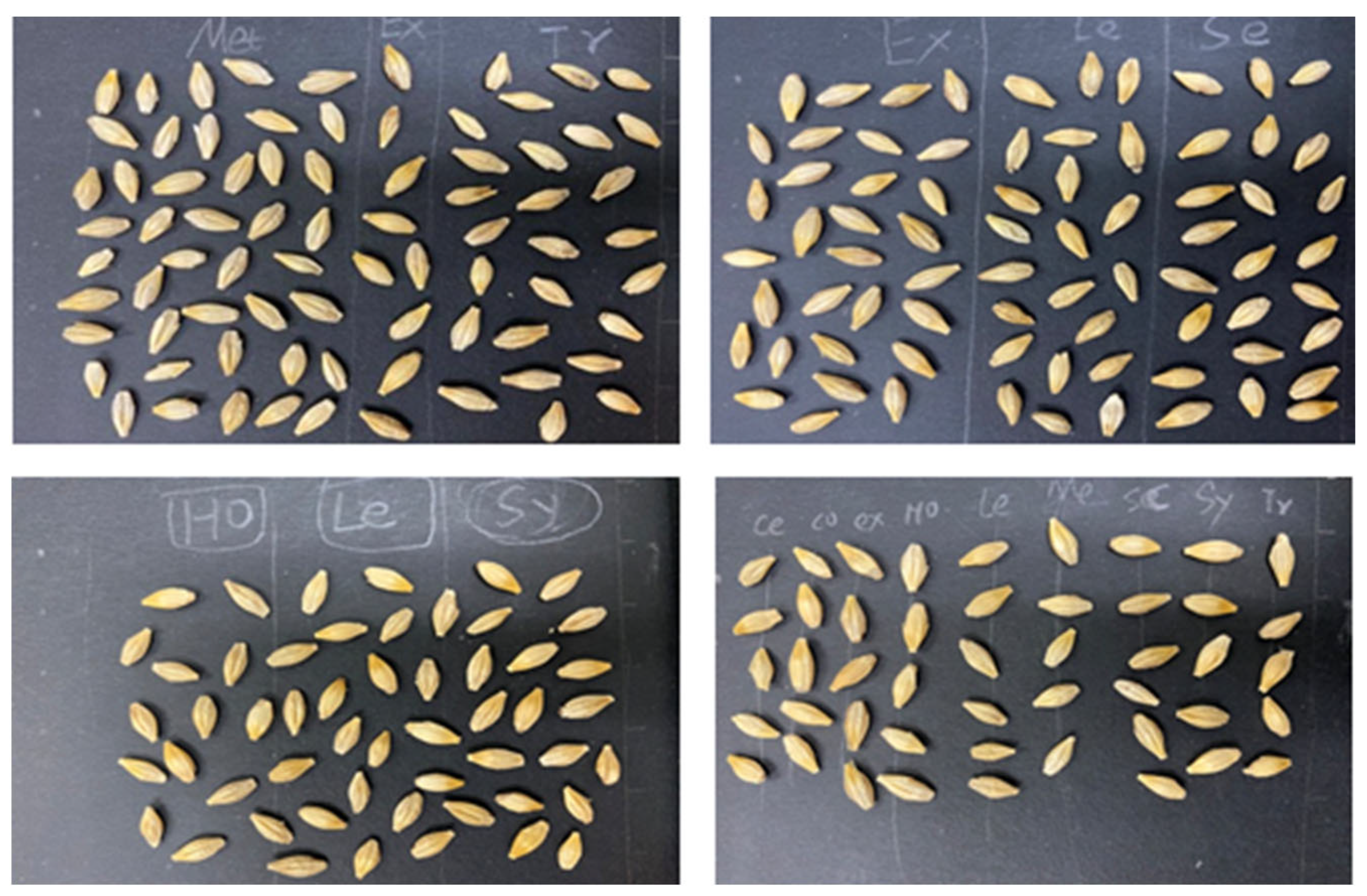 Foods 11 03531 g009 Foods 11 03531 g009