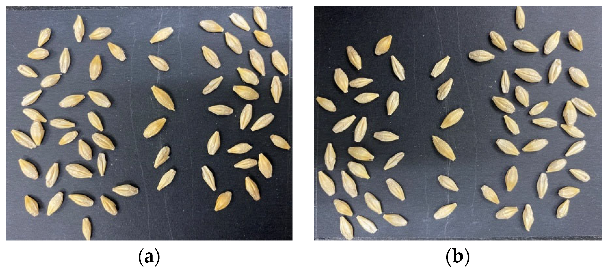 Foods 11 03531 g014a Foods 11 03531 g014a