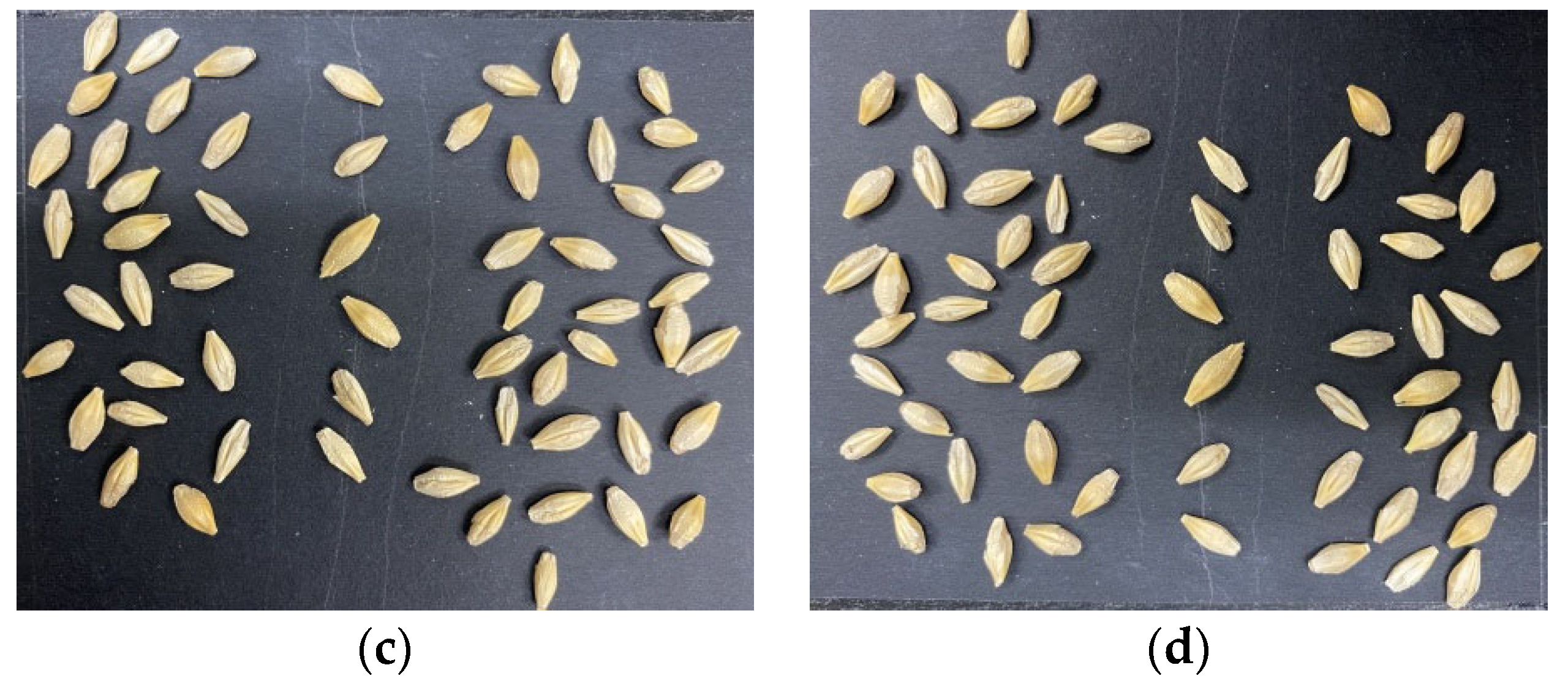 Foods 11 03531 g014b Foods 11 03531 g014b