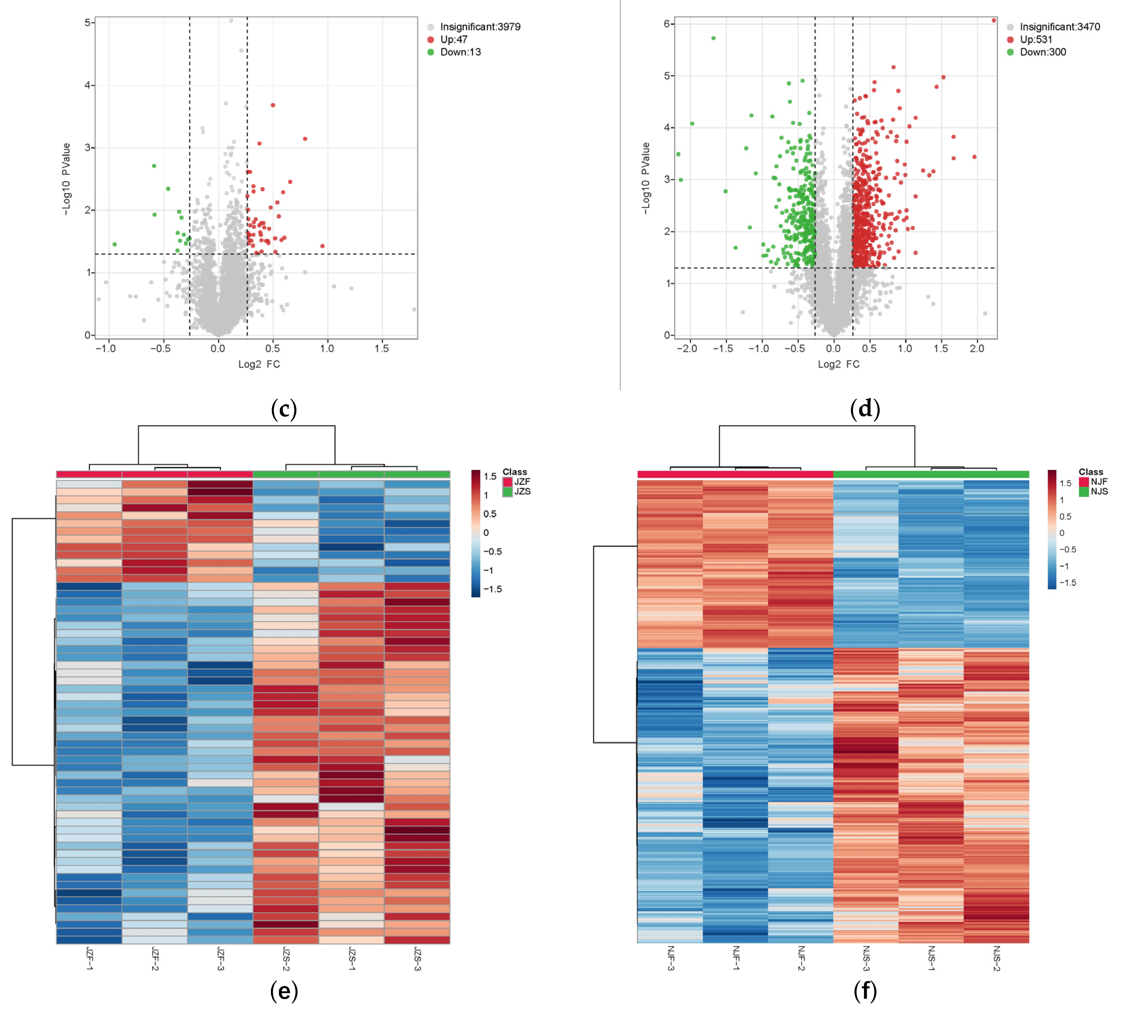 Foods 11 03541 g003b