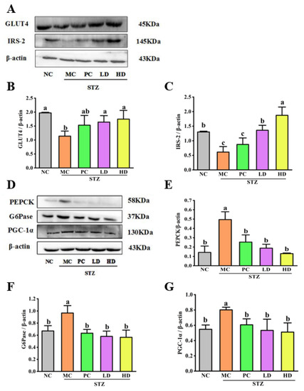 Foods 11 03571 g005a Foods 11 03571 g005a