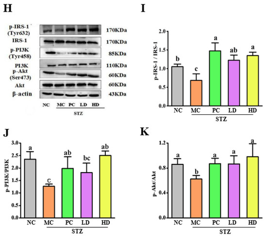 Foods 11 03571 g005b