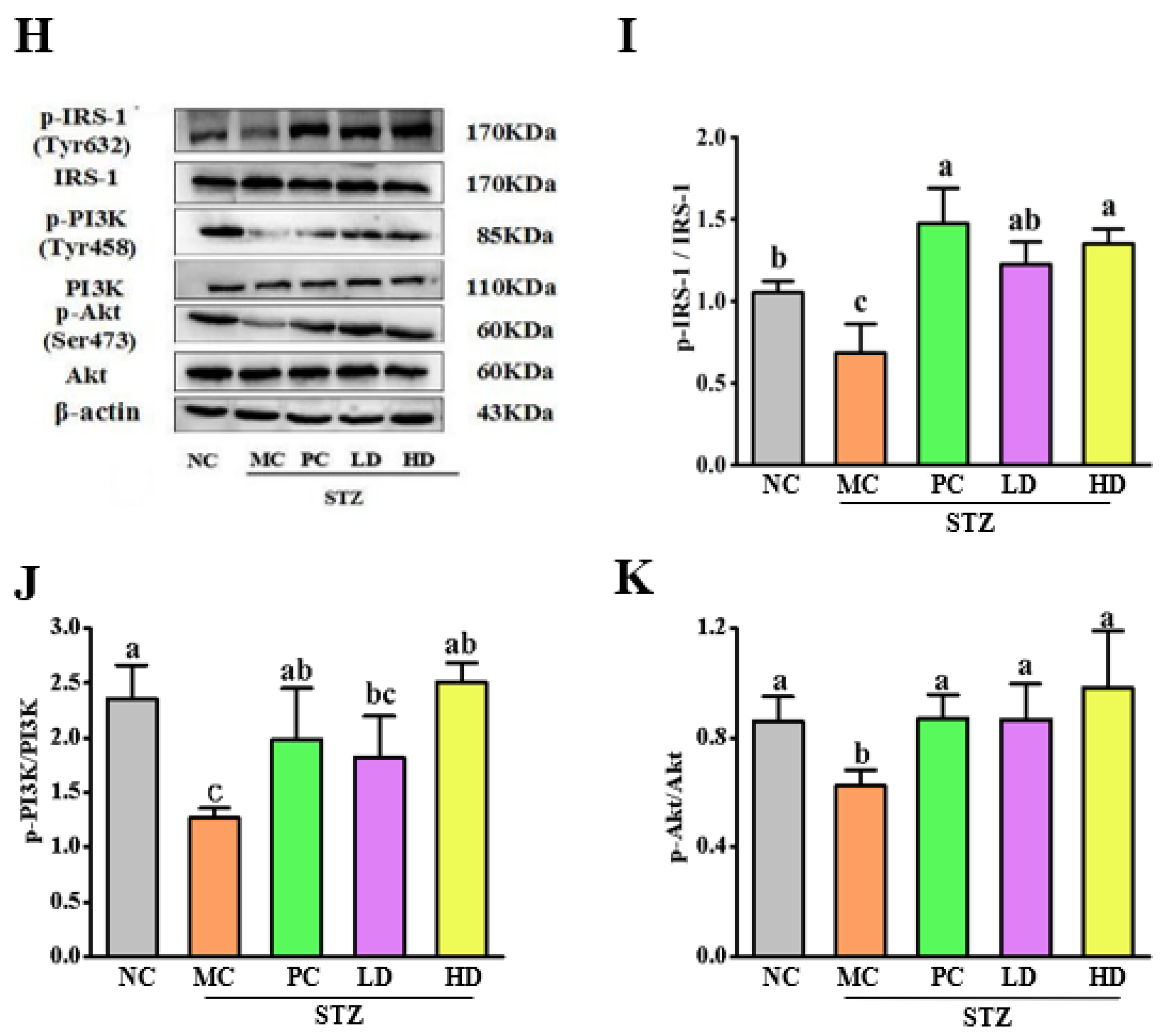 Foods 11 03571 g005b Foods 11 03571 g005b