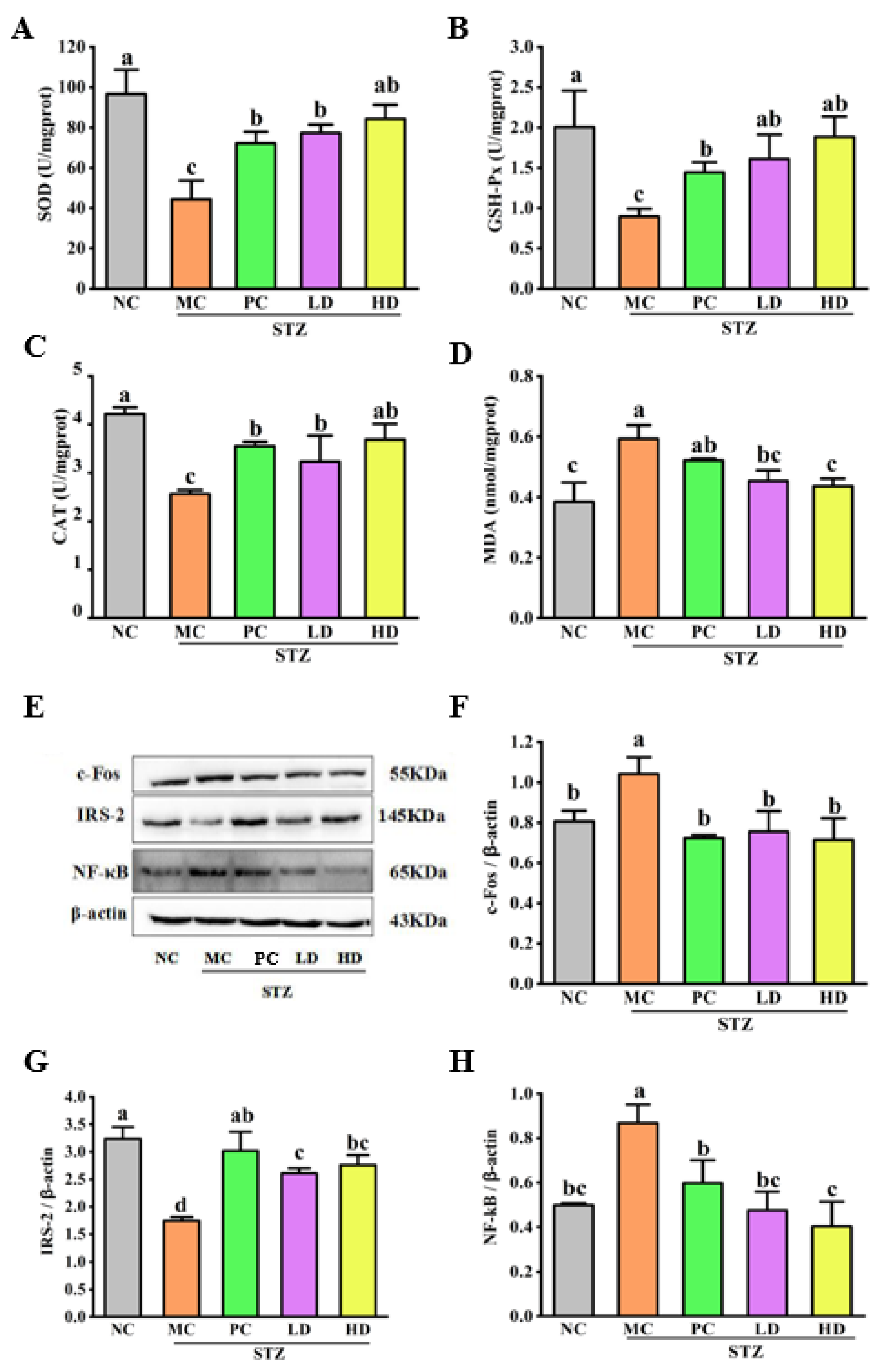 Foods 11 03571 g006 Foods 11 03571 g006