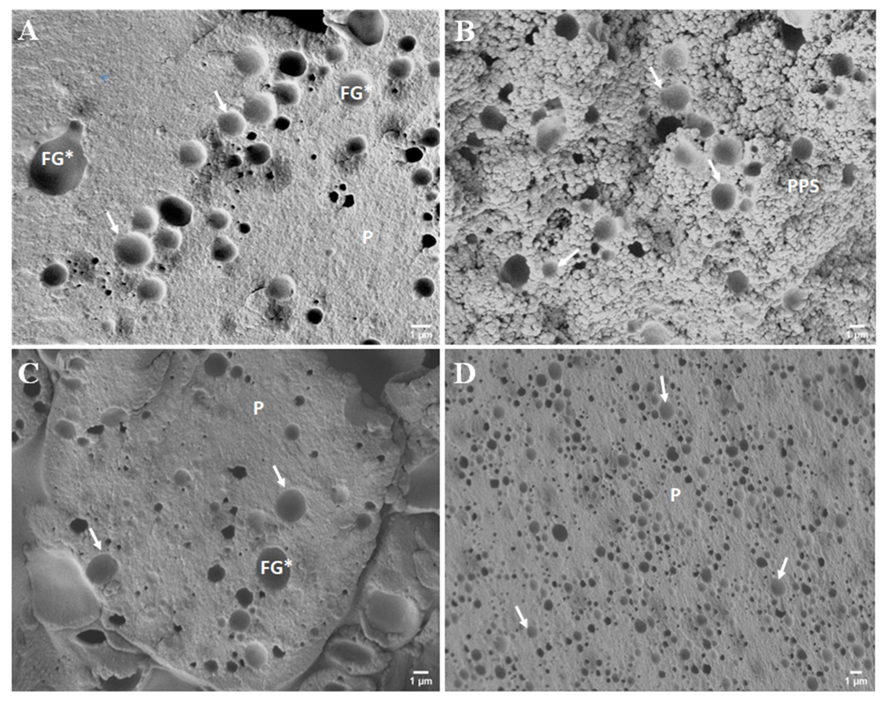 Foods 11 03605 g004 Foods 11 03605 g004