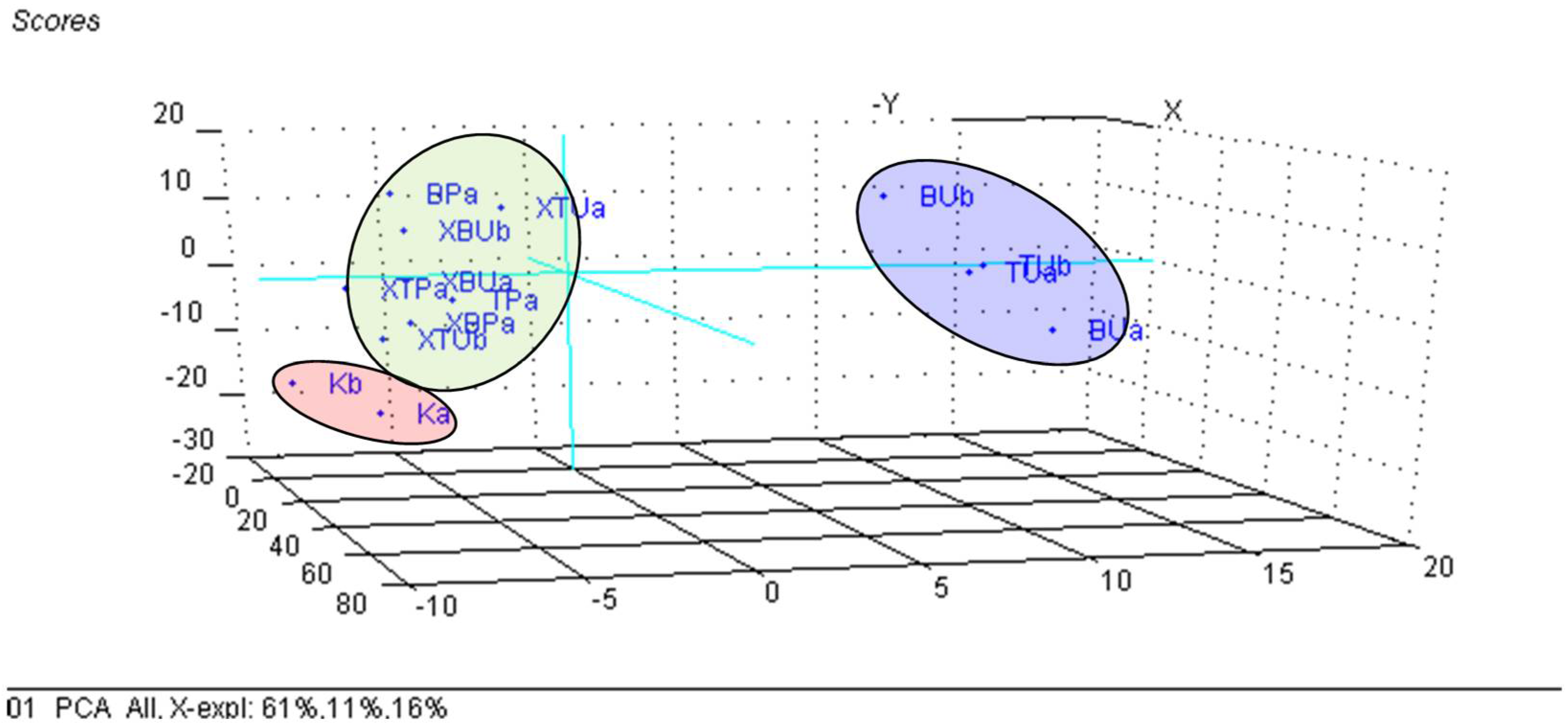 Foods 11 03632 g007 Foods 11 03632 g007