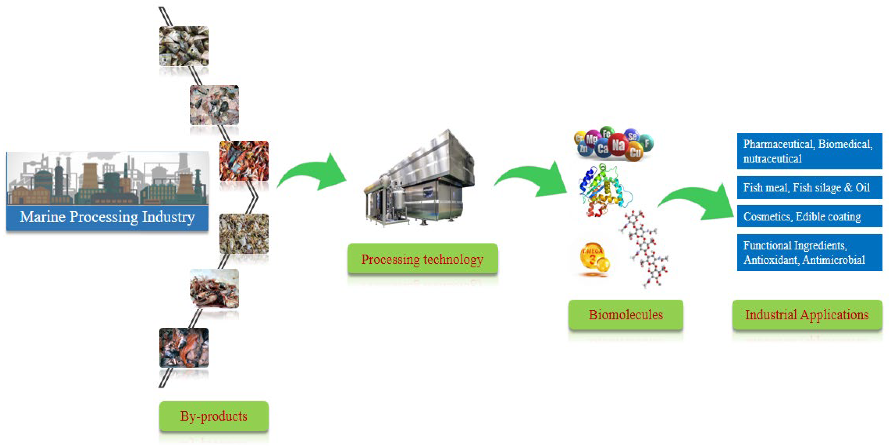 Foods 11 03669 g005 Foods 11 03669 g005