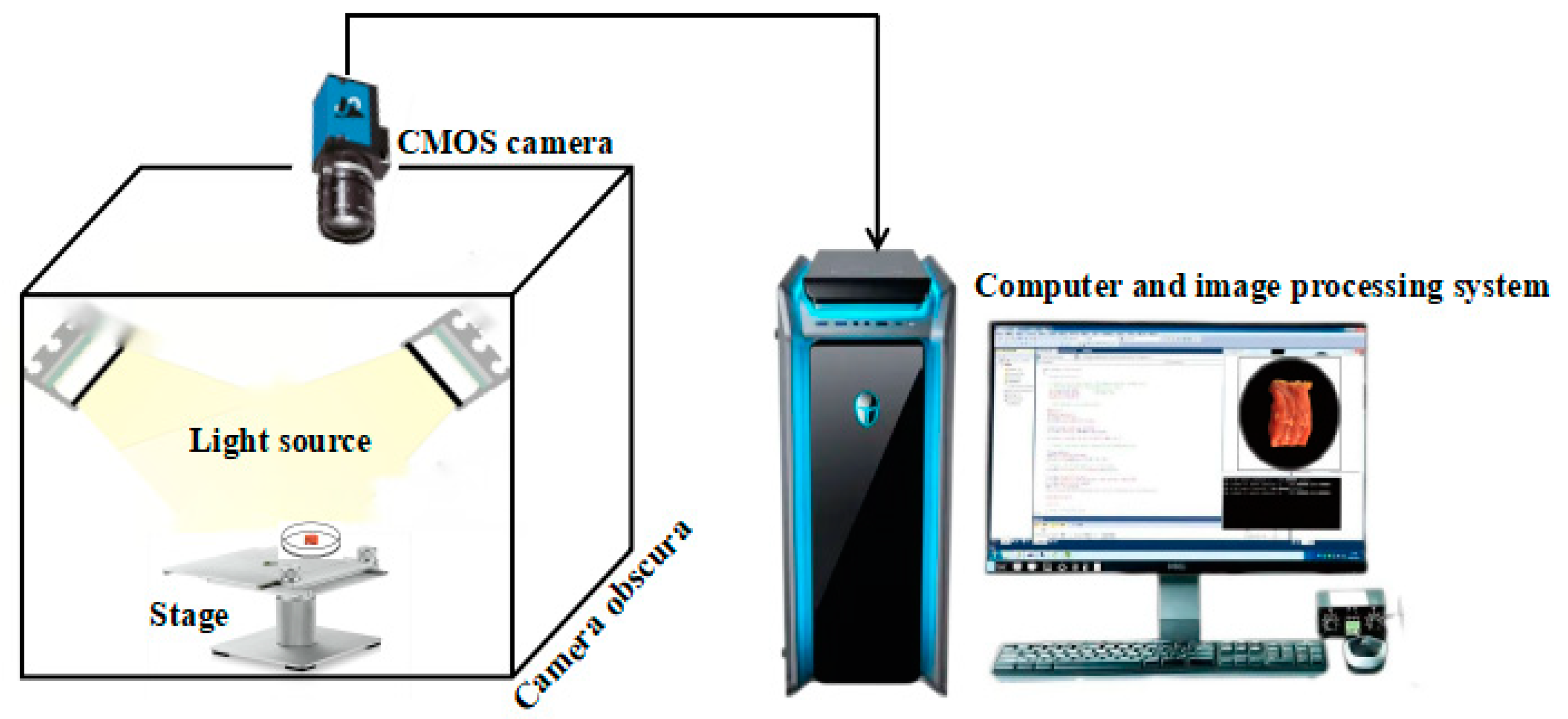 Foods 11 03732 g001 Foods 11 03732 g001