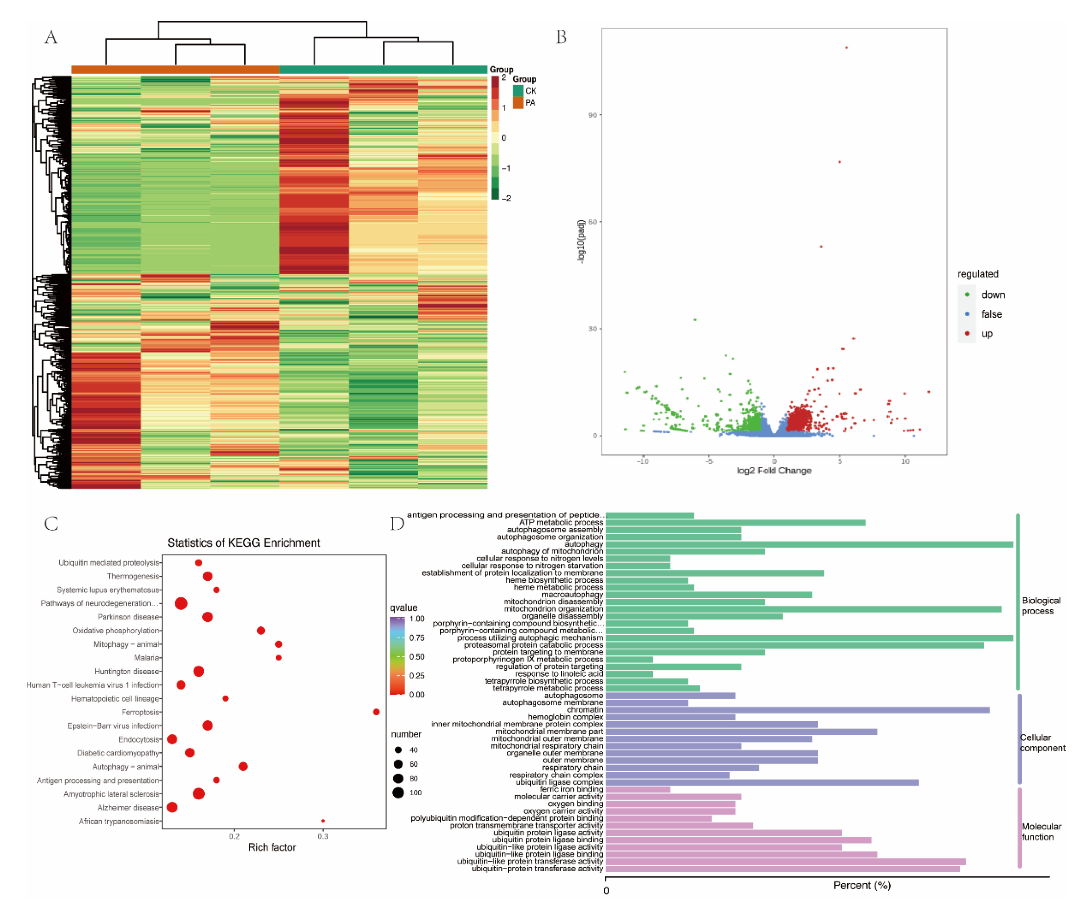 Foods 11 03760 g004 Foods 11 03760 g004