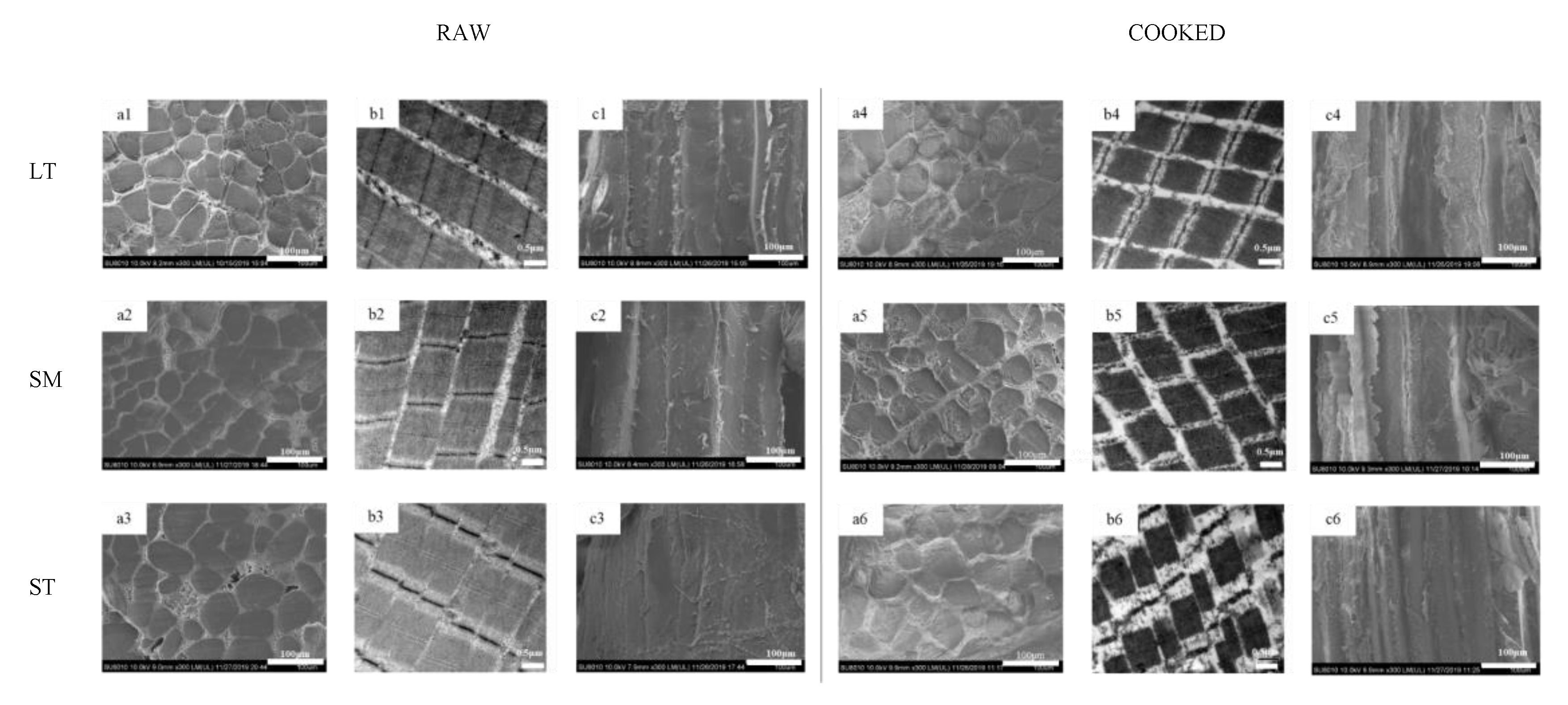 Foods 11 03835 g001 Foods 11 03835 g001