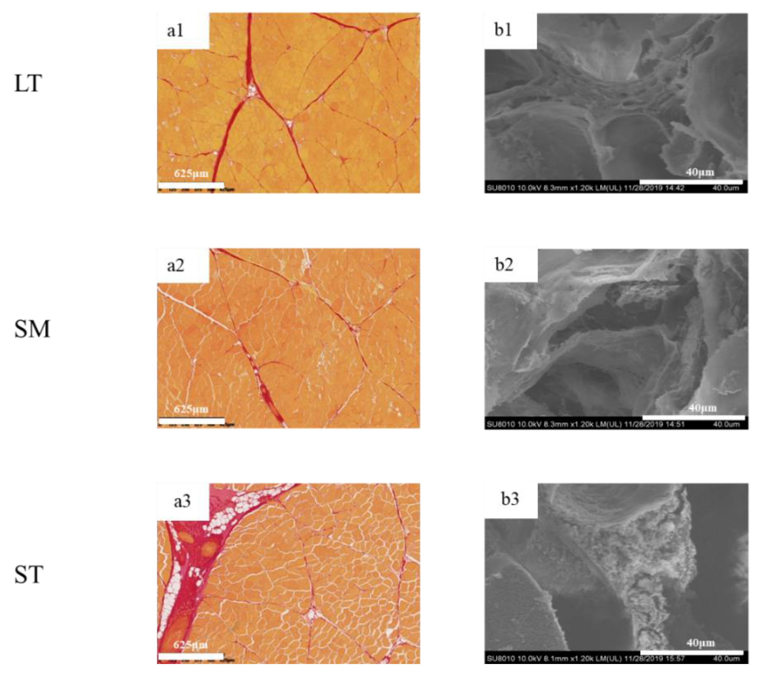 Foods 11 03835 g002 Foods 11 03835 g002
