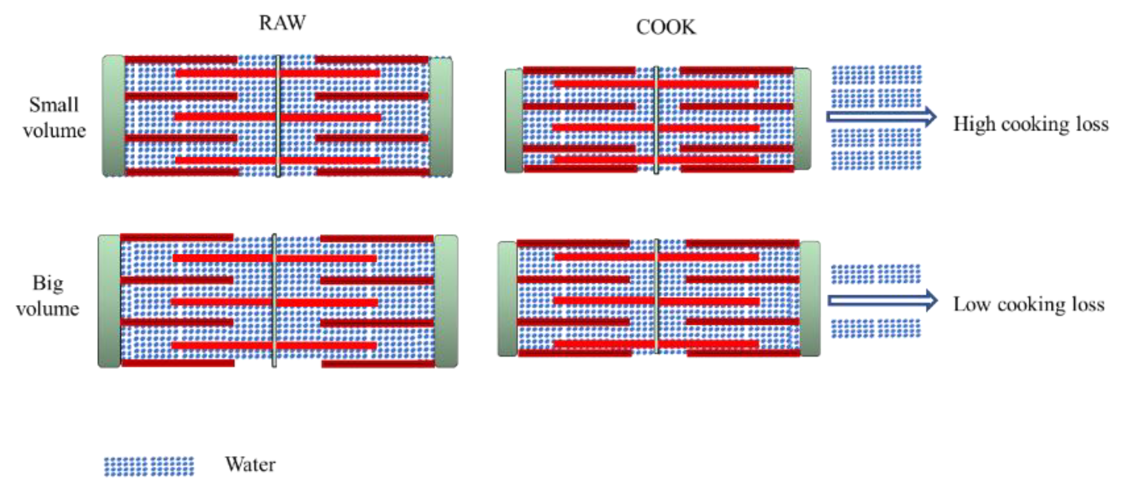 Foods 11 03835 g003 Foods 11 03835 g003