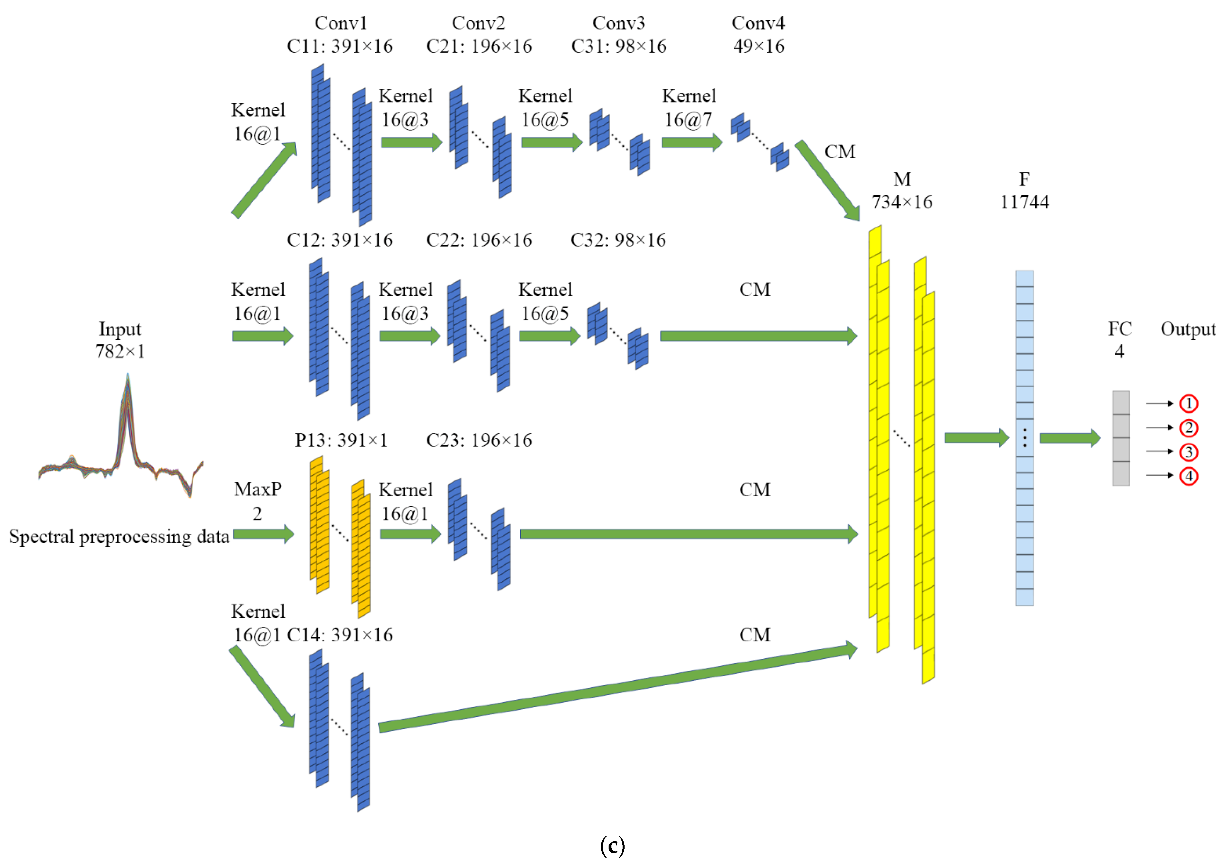 Foods 11 03881 g003b