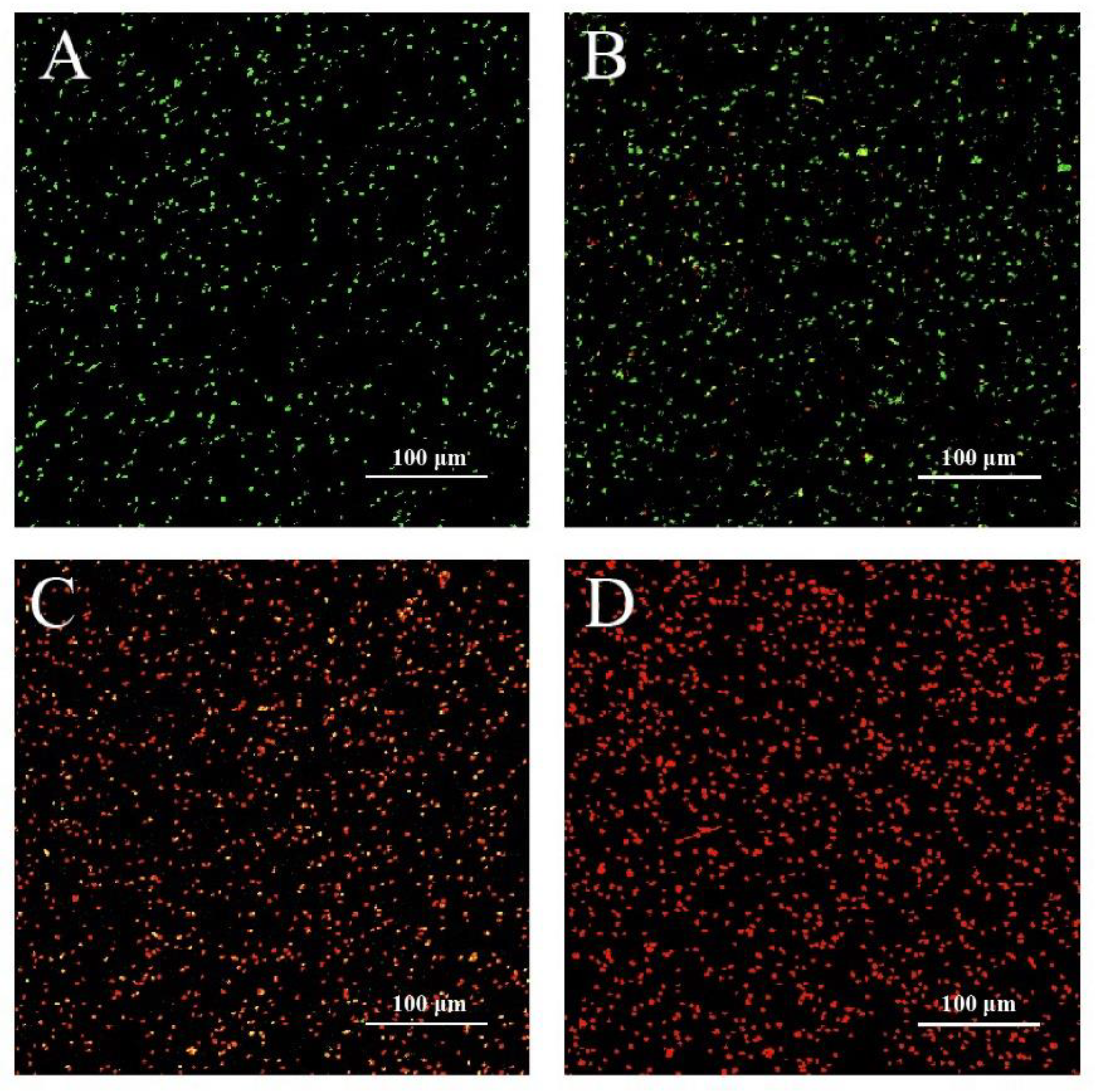 Foods 11 03900 g003 Foods 11 03900 g003