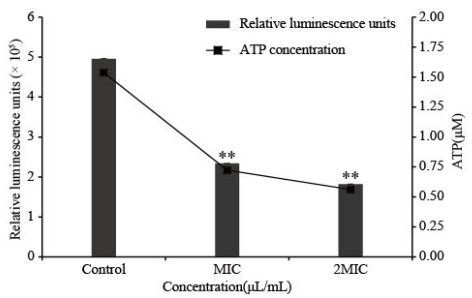 Foods 11 03900 g005 Foods 11 03900 g005