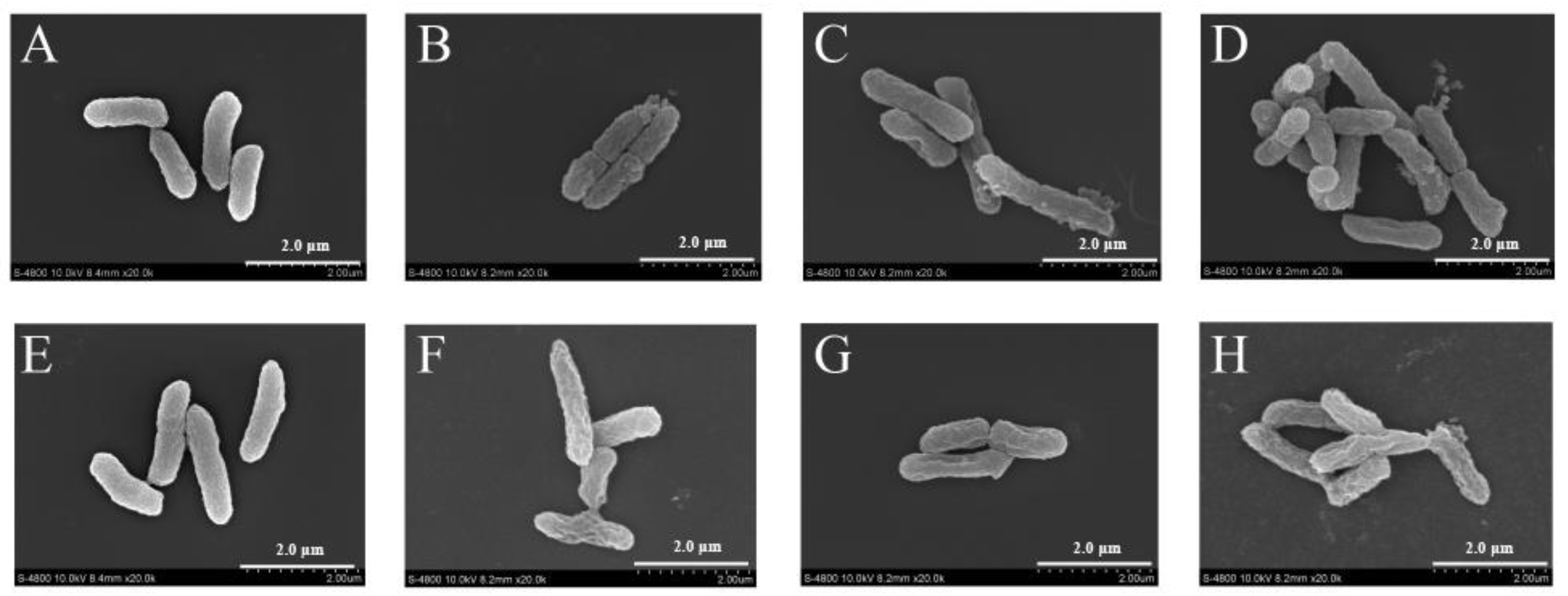 Foods 11 03900 g006 Foods 11 03900 g006