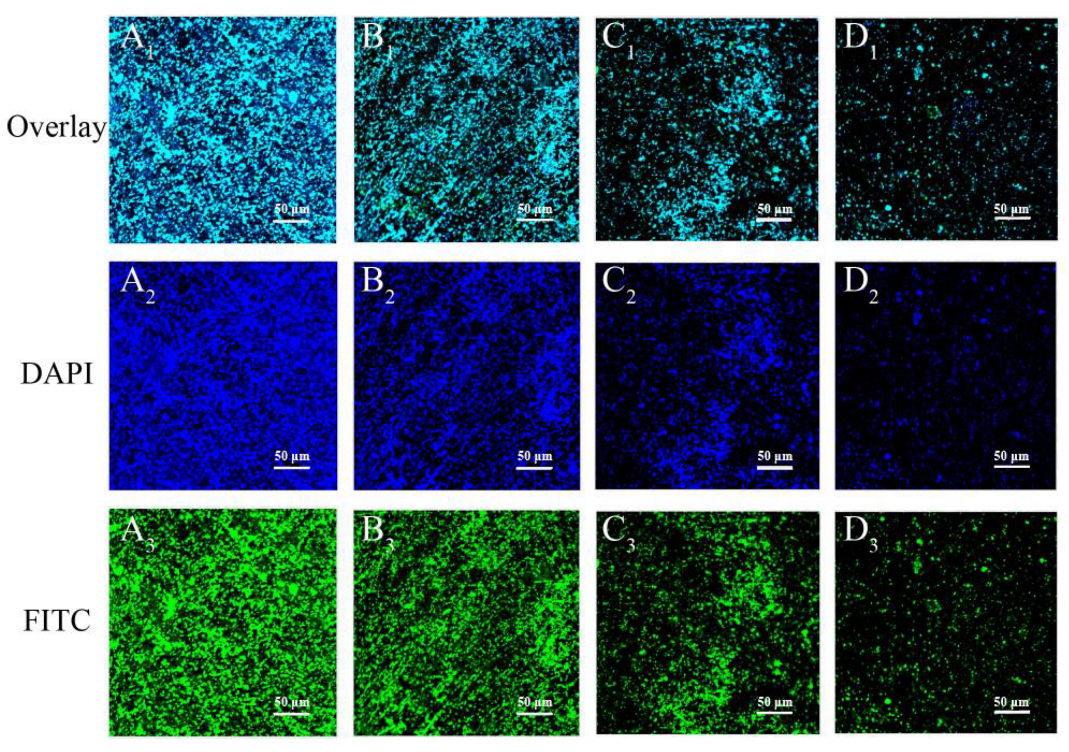 Foods 11 03900 g011 Foods 11 03900 g011