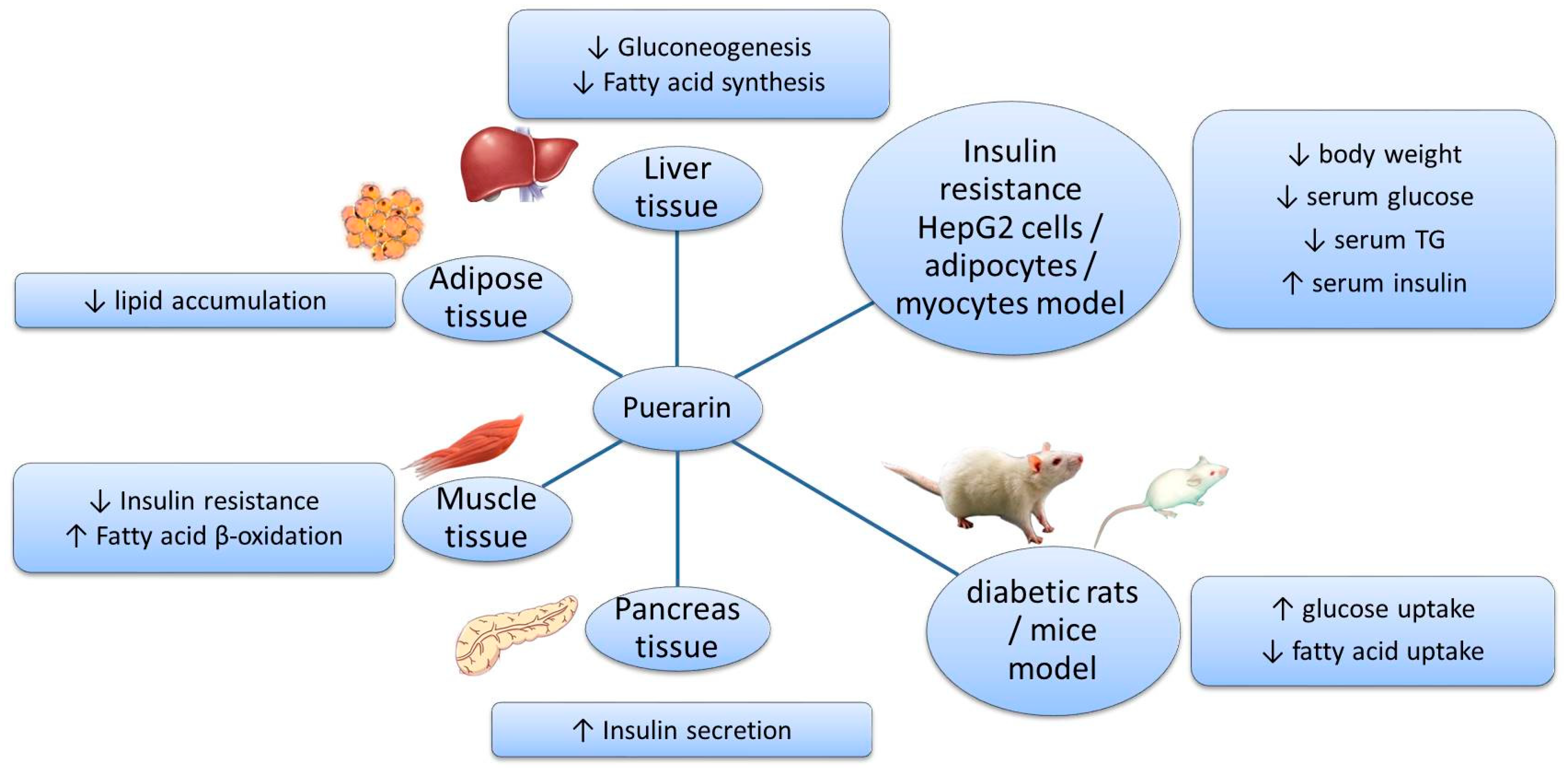Foods 11 03941 g003 Foods 11 03941 g003