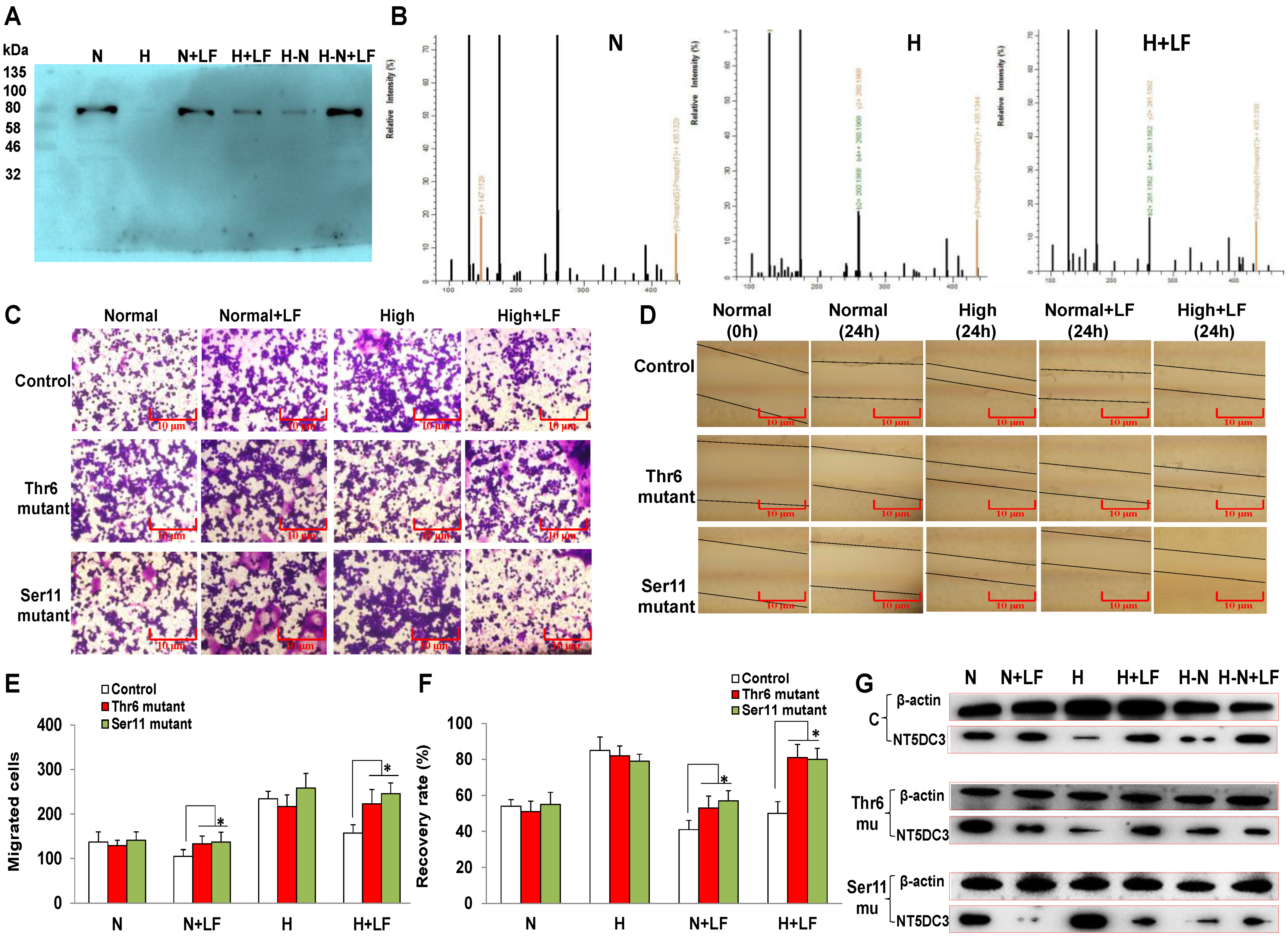 Foods 11 03956 g003 Foods 11 03956 g003