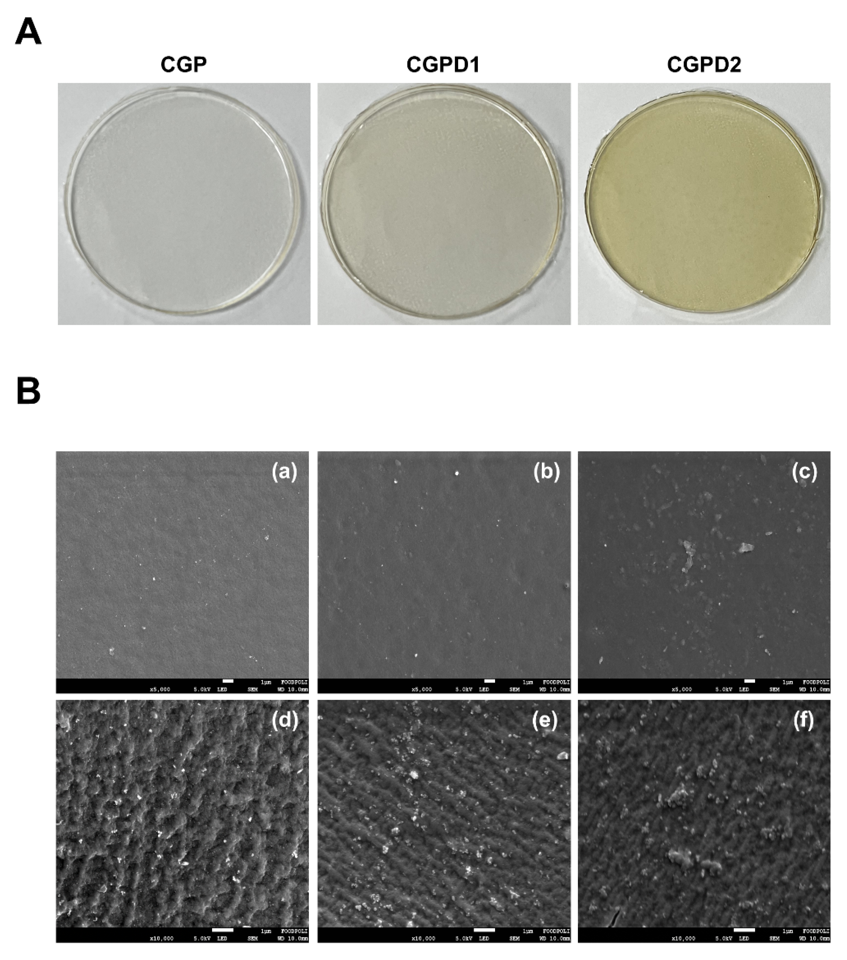 Foods 11 03963 g001 Foods 11 03963 g001