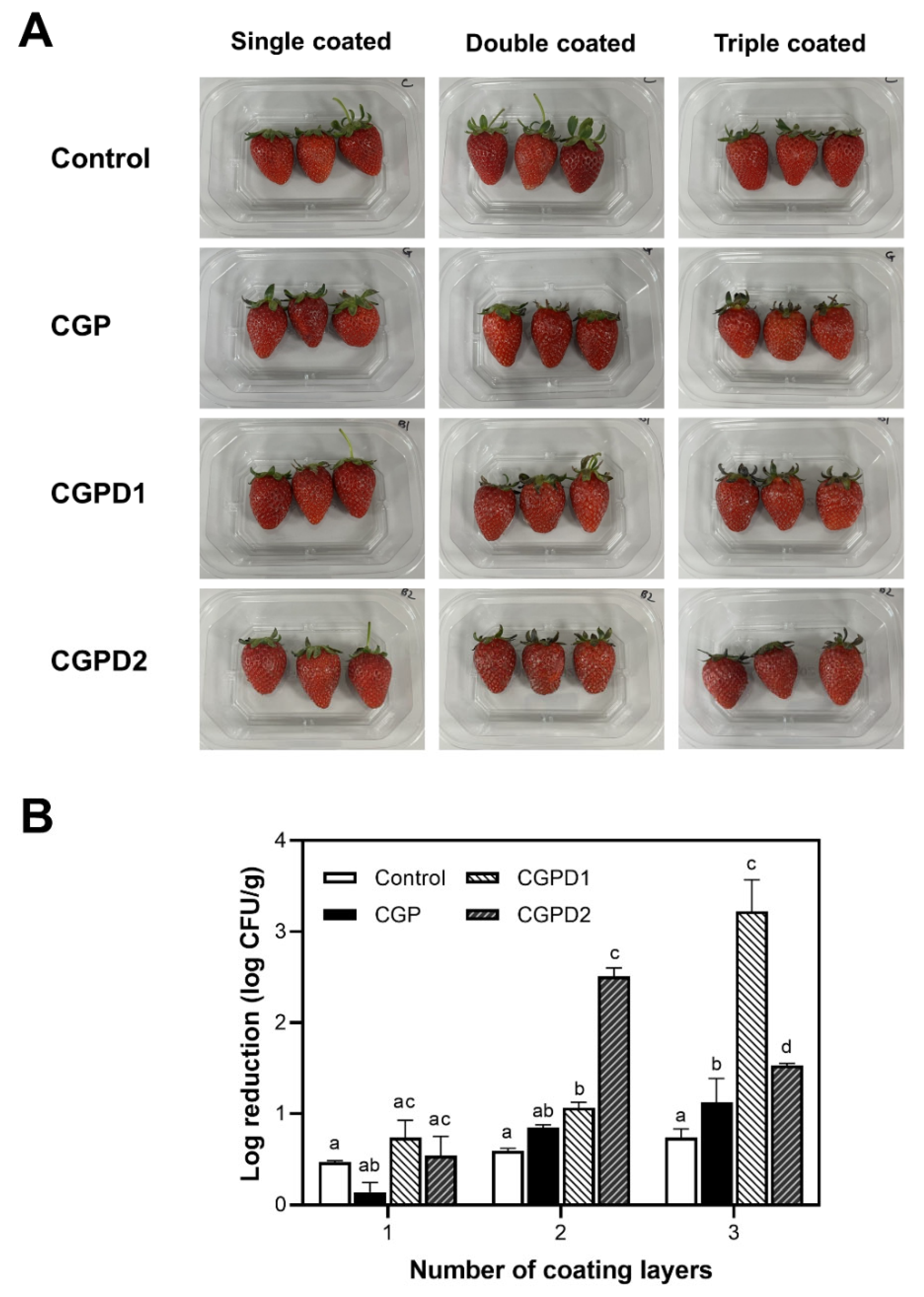 Foods 11 03963 g004 Foods 11 03963 g004