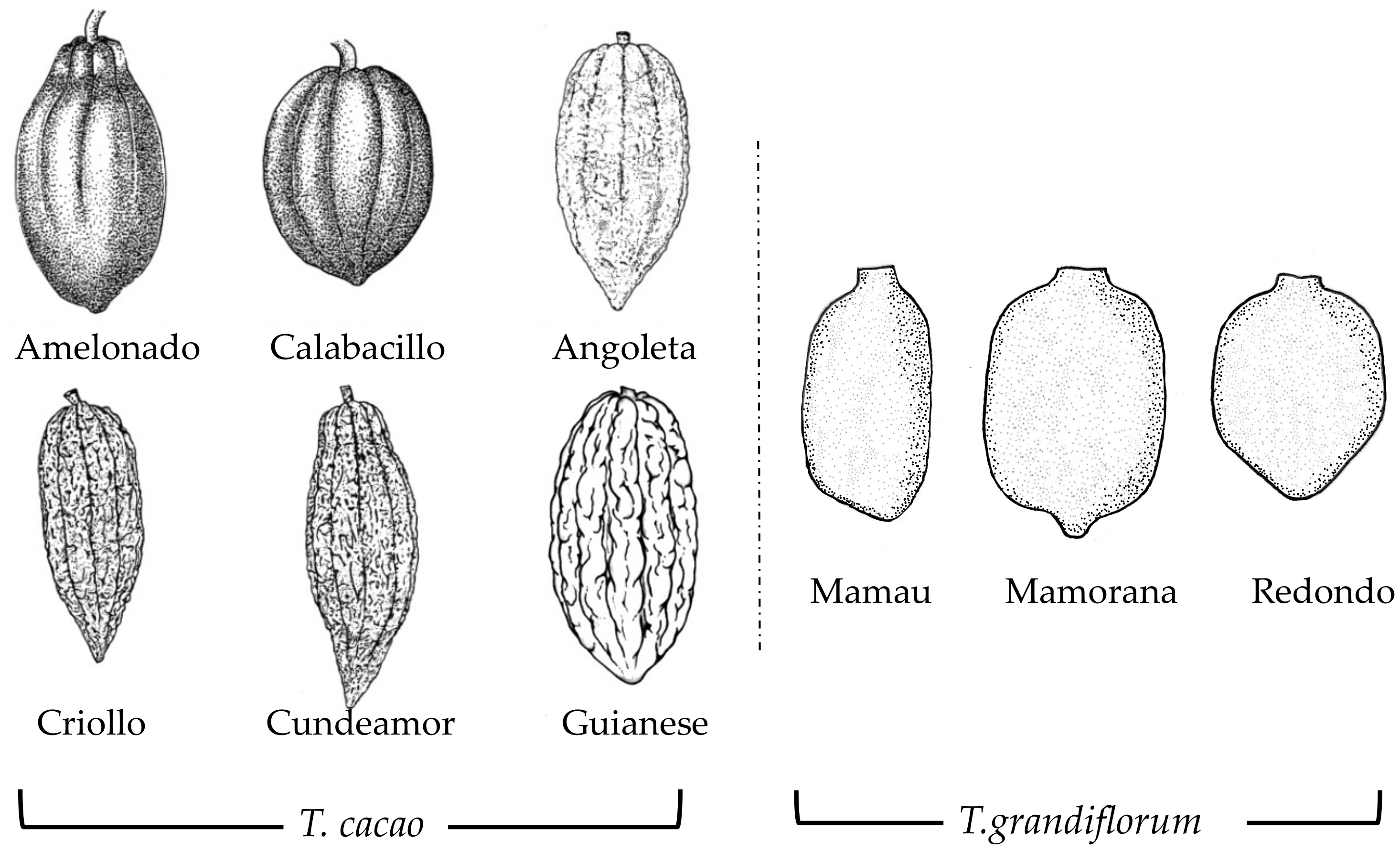 Foods 11 03966 g002 Foods 11 03966 g002