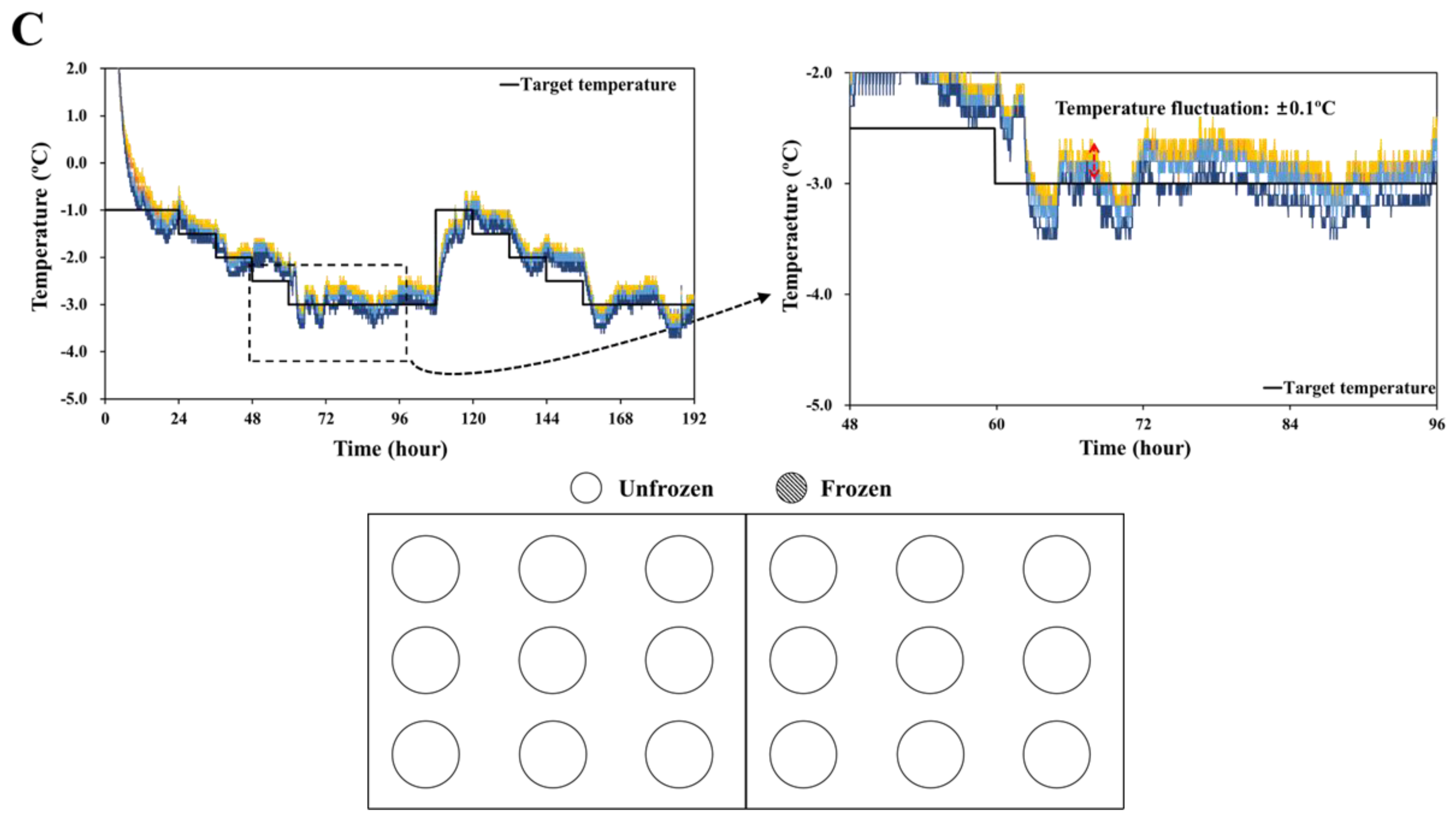 Foods 11 04021 g006b