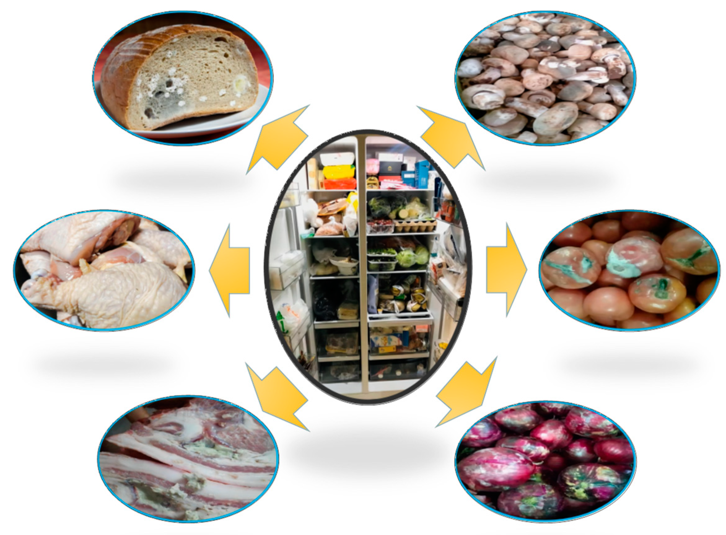 Foods 11 04049 g001 Foods 11 04049 g001