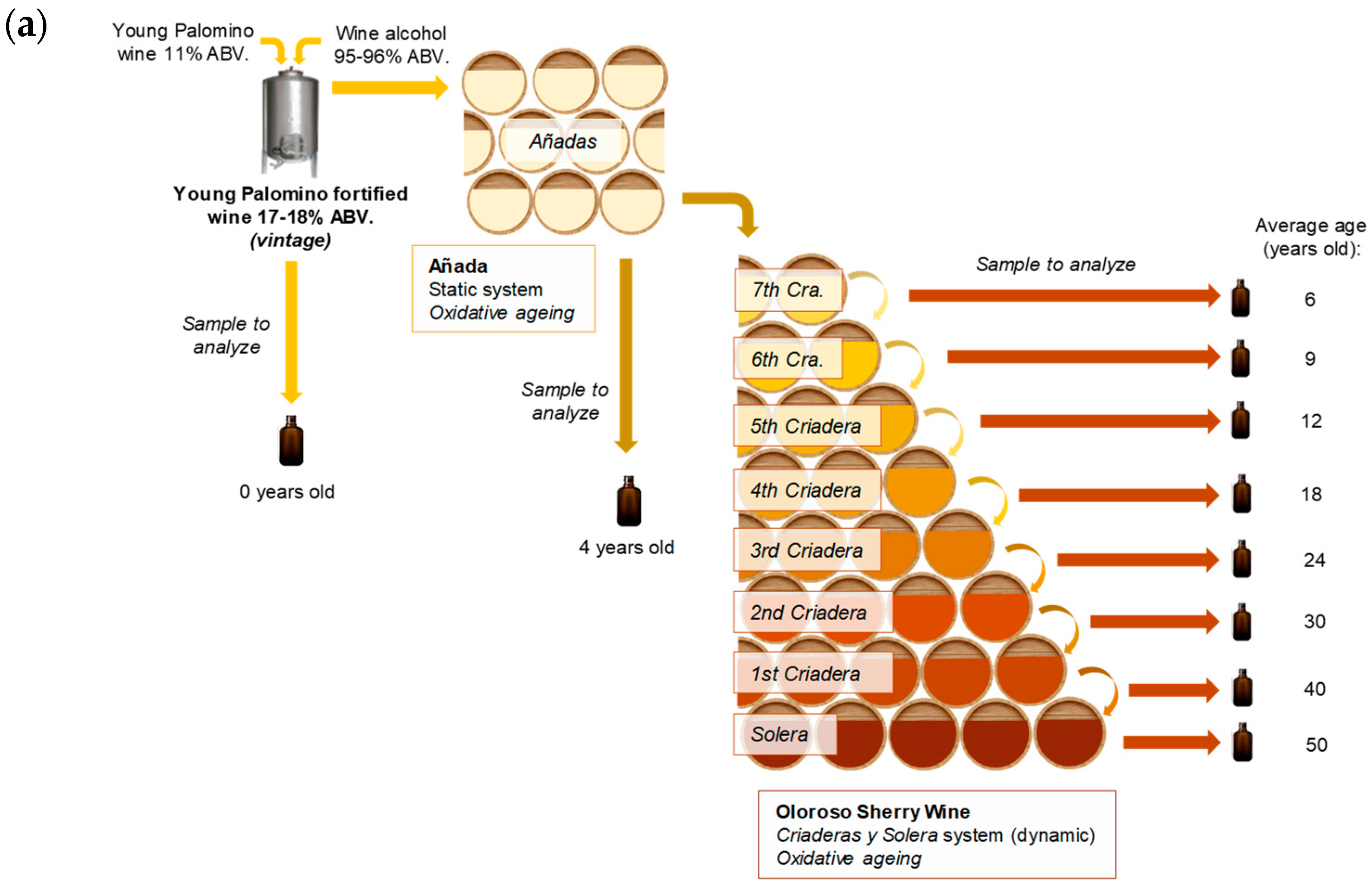 Foods 11 04062 g001a Foods 11 04062 g001a