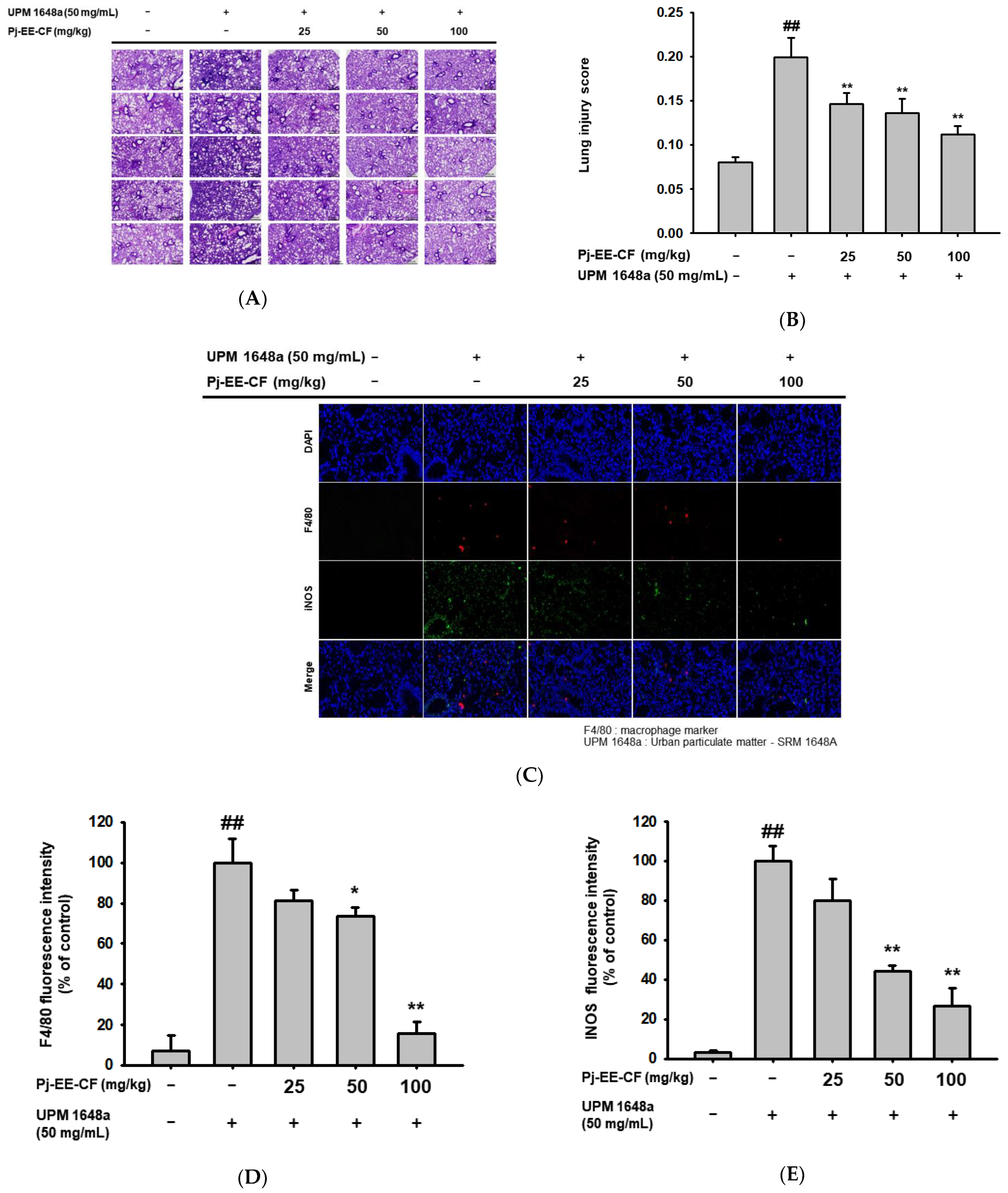 Foods 12 00088 g002a Foods 12 00088 g002a