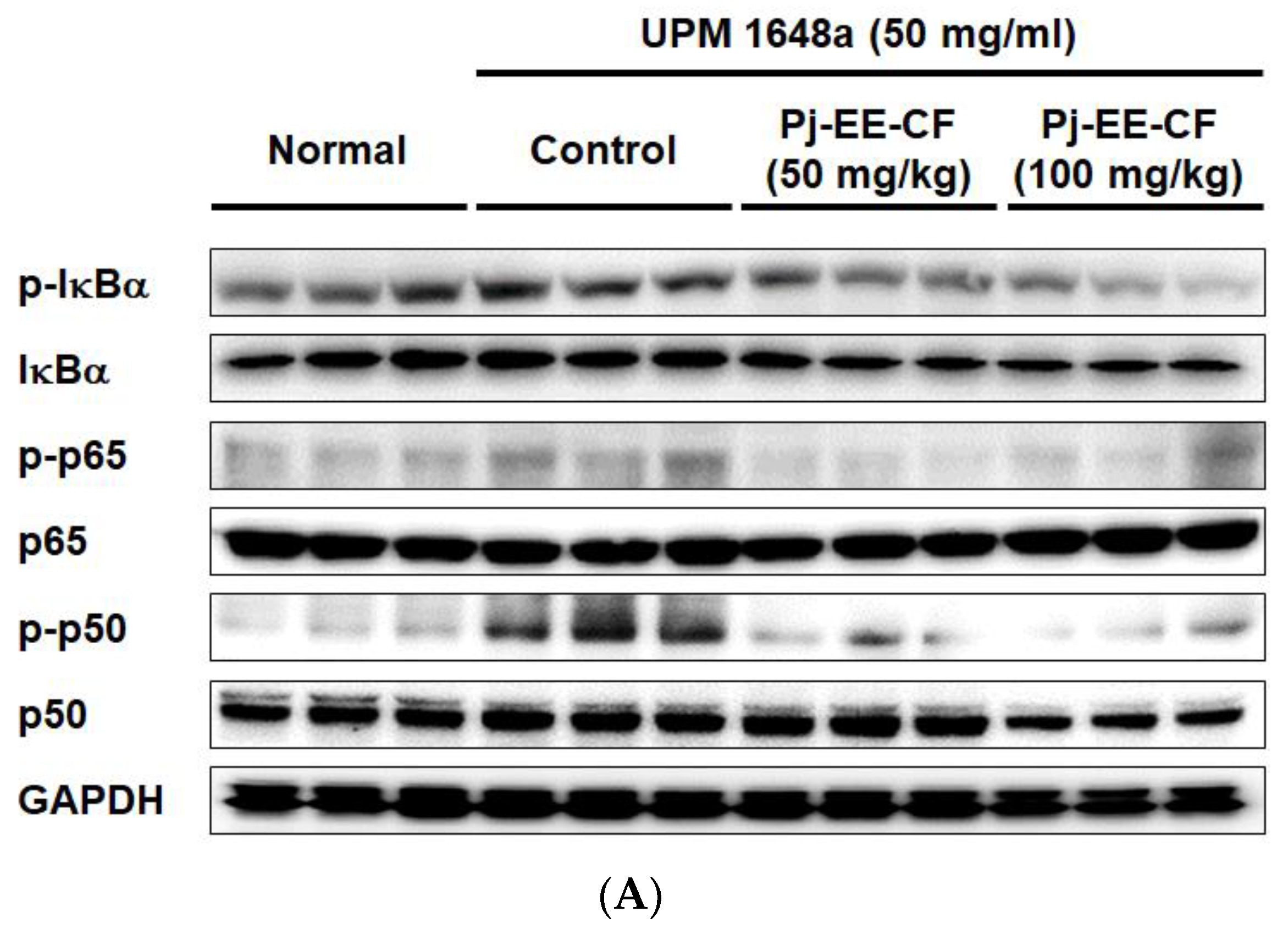 Foods 12 00088 g005a Foods 12 00088 g005a