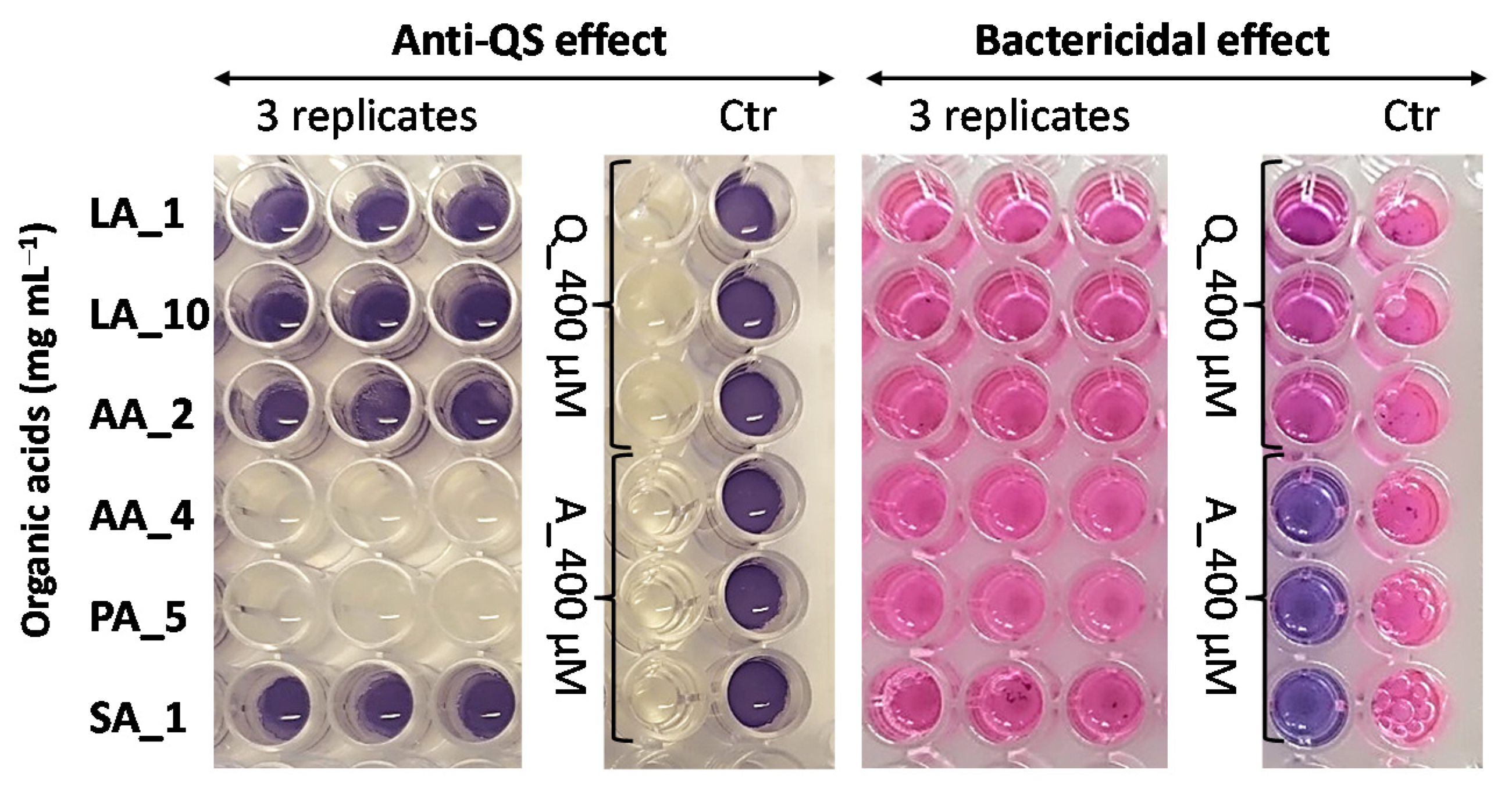 Foods 12 00090 g007 Foods 12 00090 g007