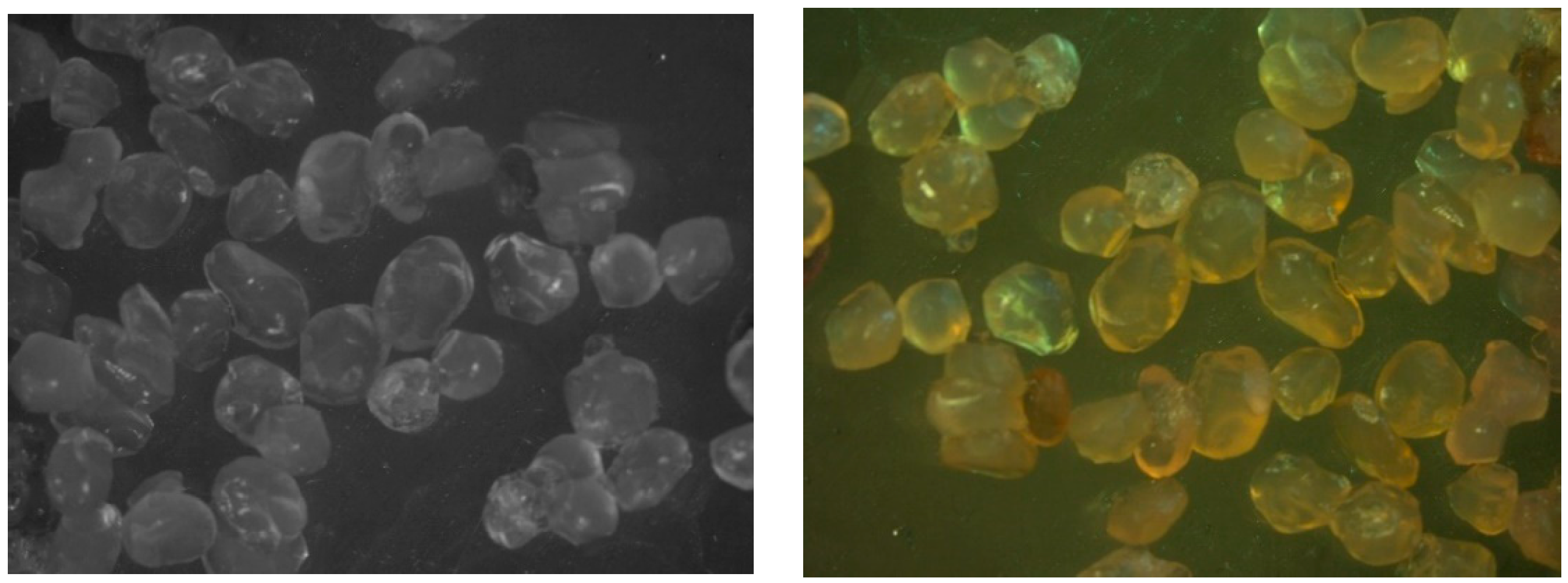 Foods 12 00130 g006 Foods 12 00130 g006