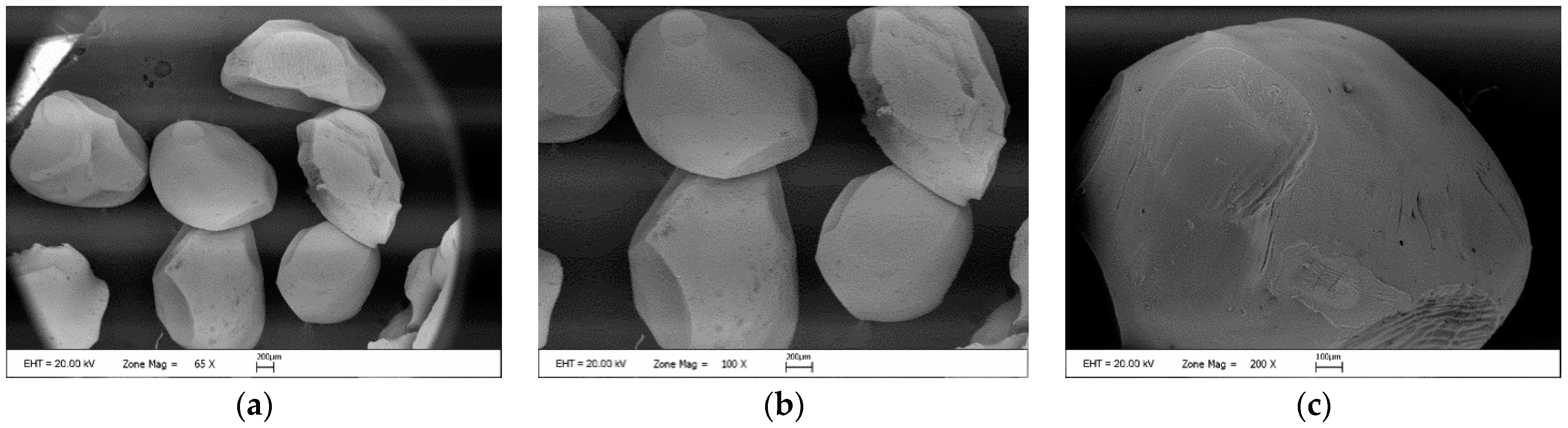 Foods 12 00130 g007 Foods 12 00130 g007