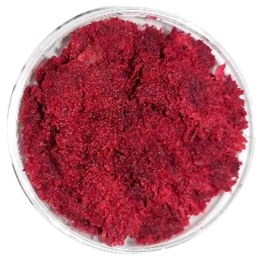 Foods 12 00176 g001 Foods 12 00176 g001